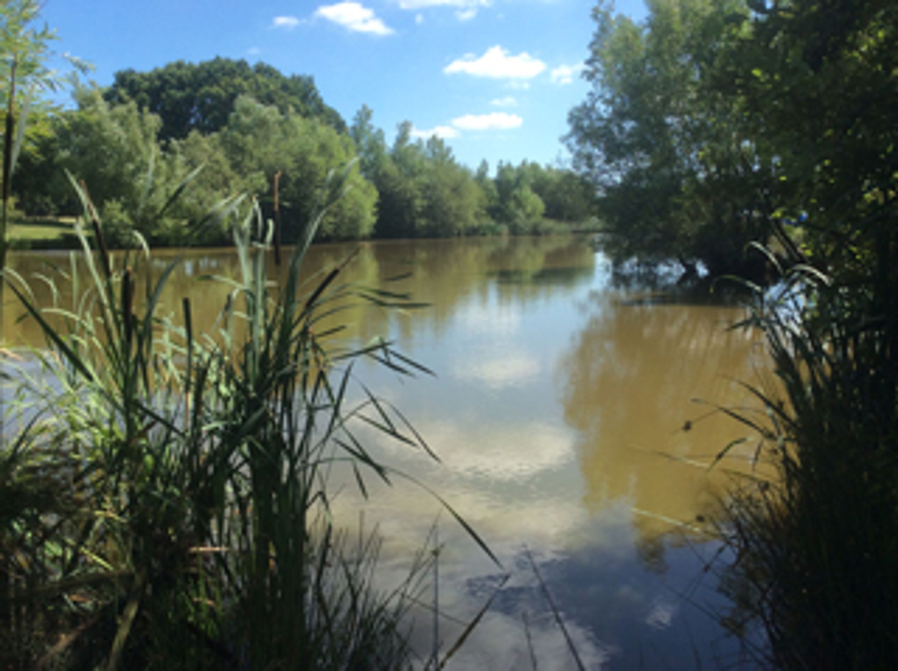 Blacklands Fishing