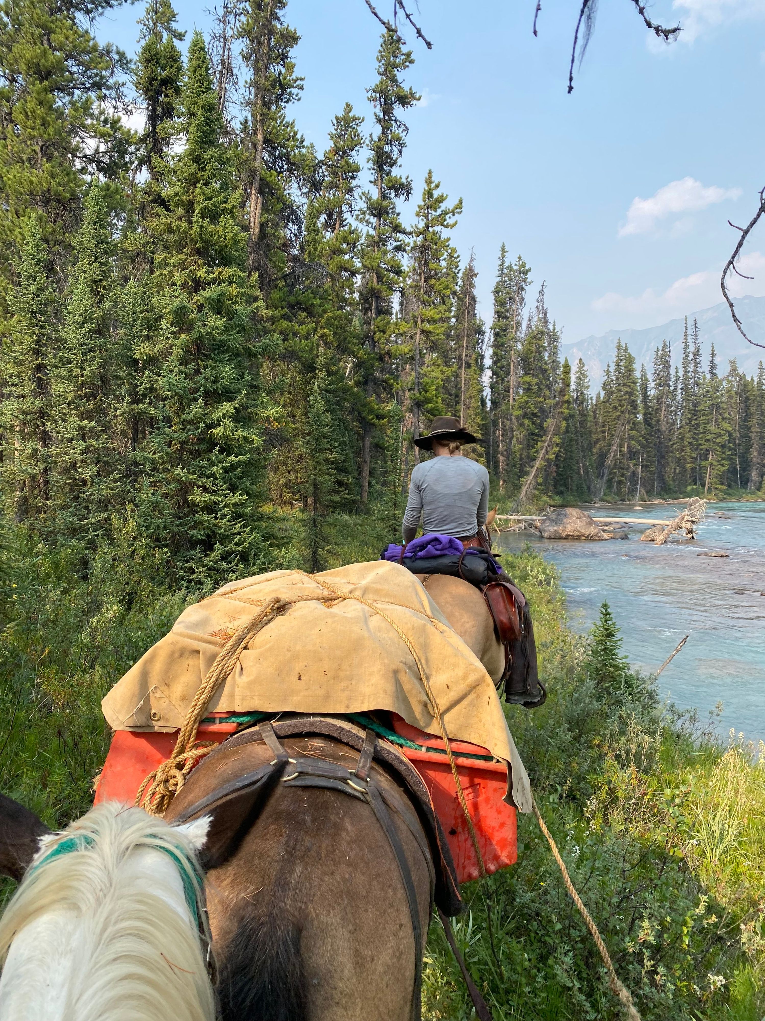 Moose River Pack Trips