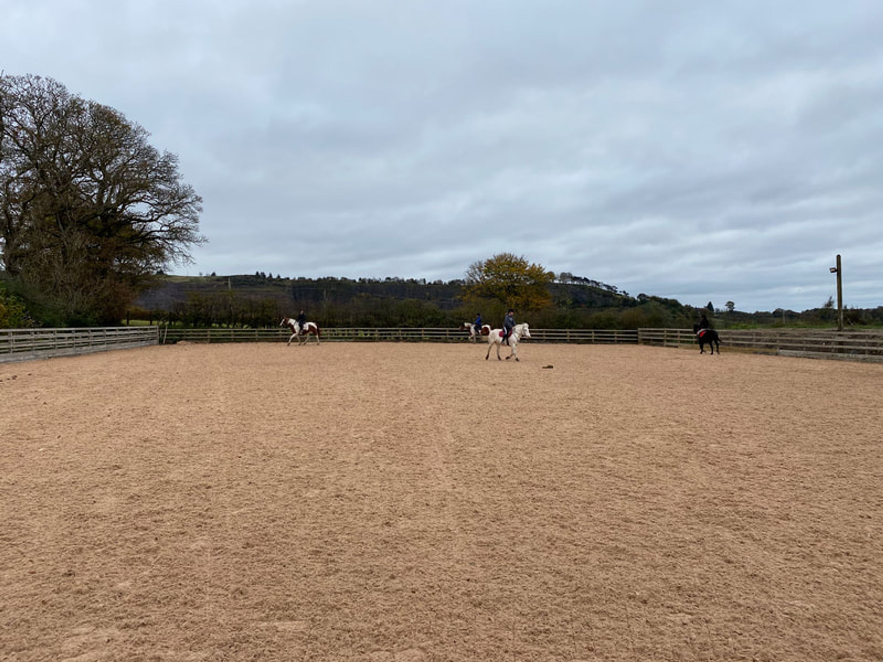 Boydstone Stables