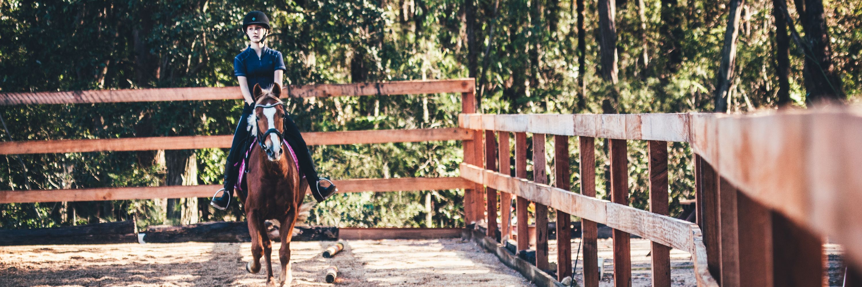 Sydney Riding School