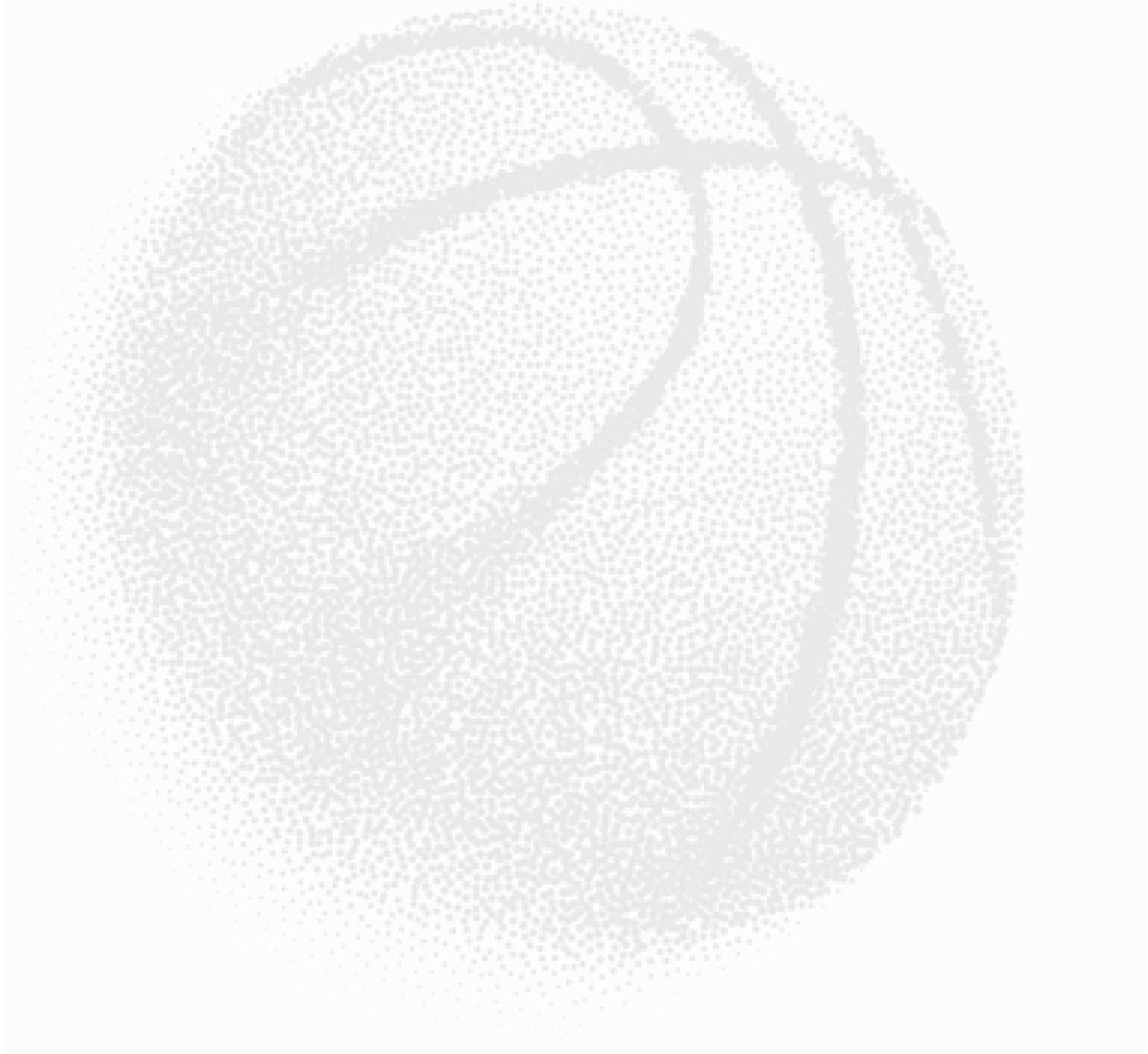 LONS BASKET