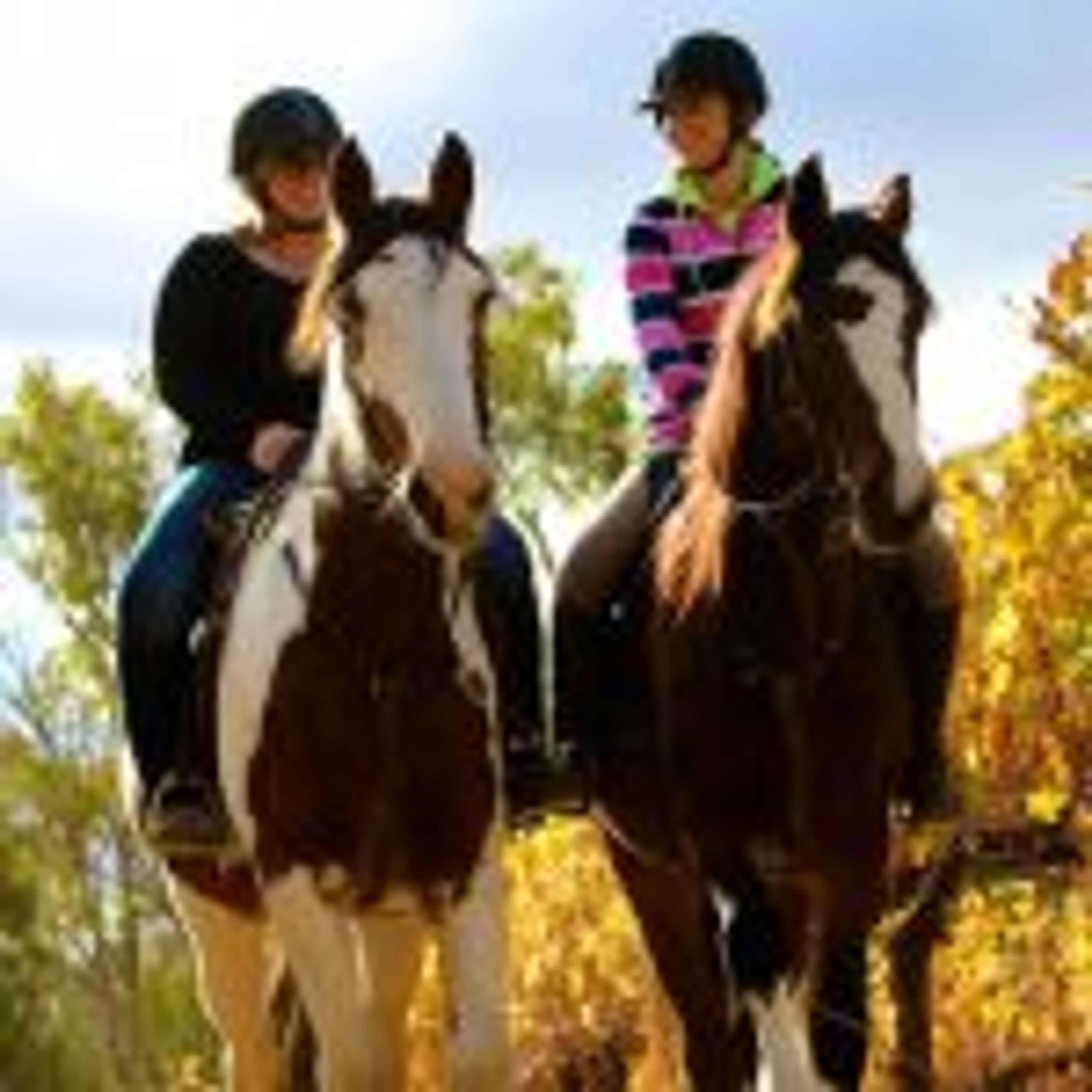 Billabong Ranch