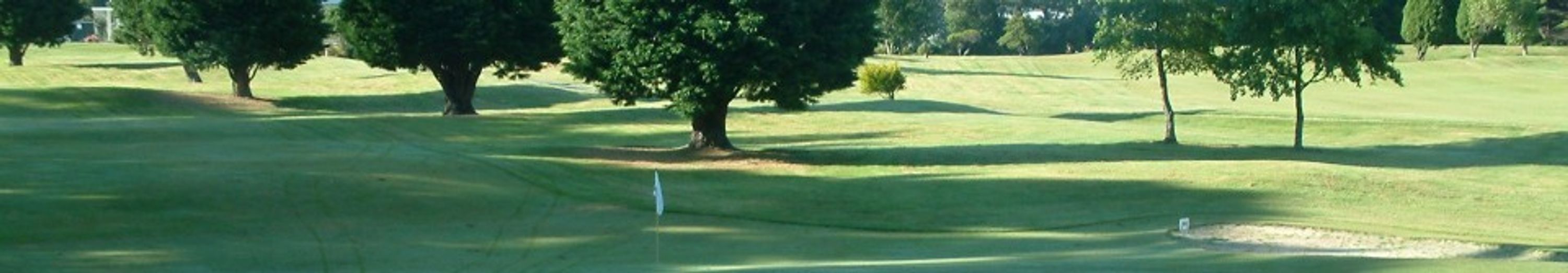 GOLF LESSONS