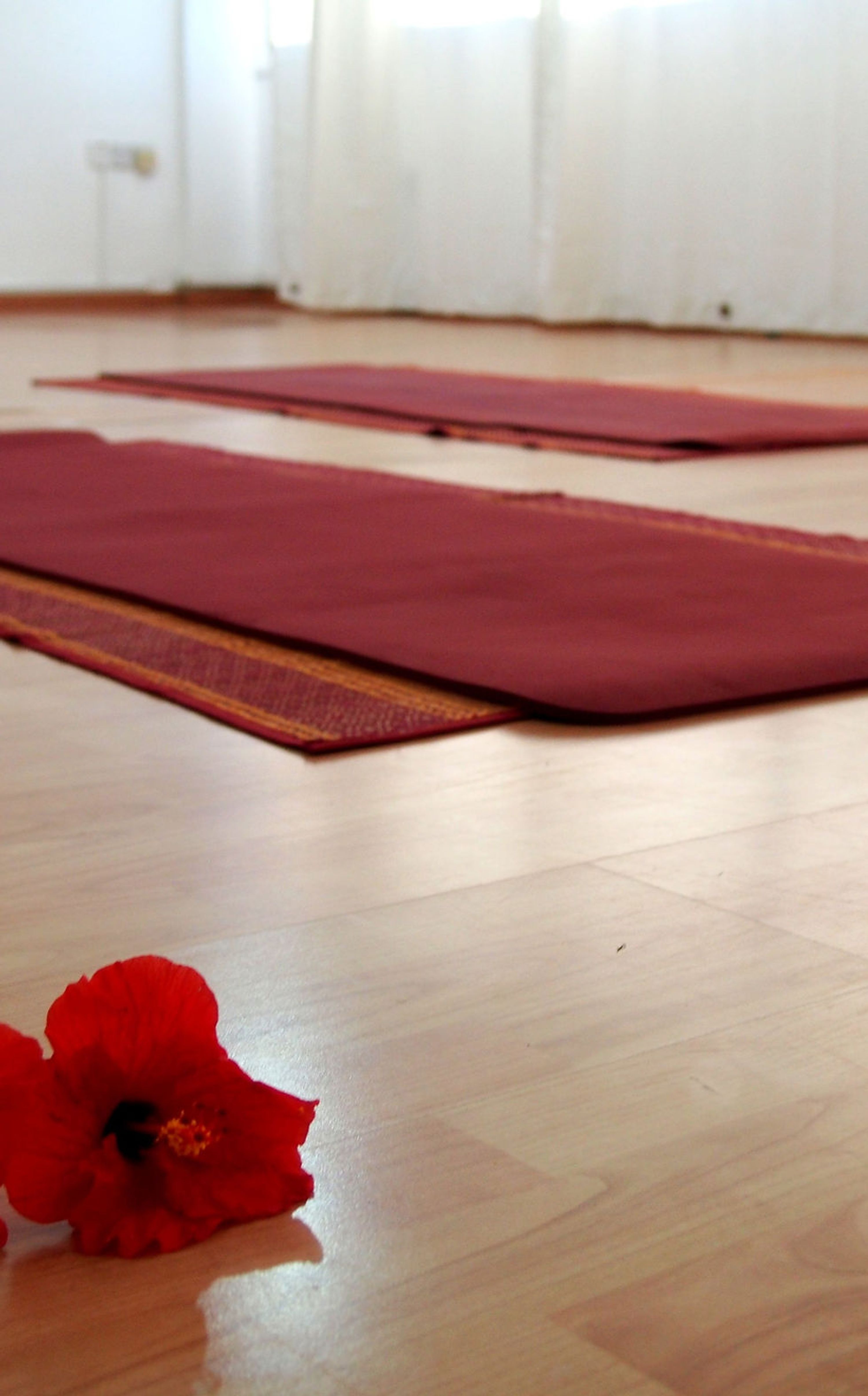 Yoga Traditionnel
