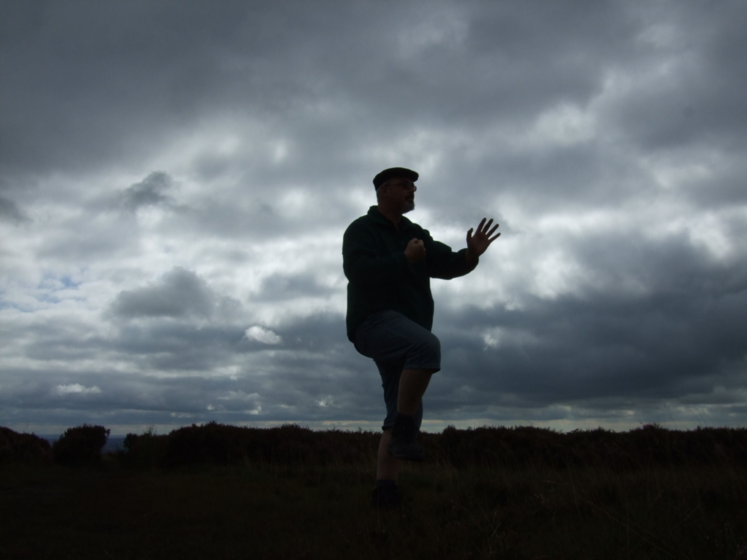 Peaceful Warrior Tai Chi