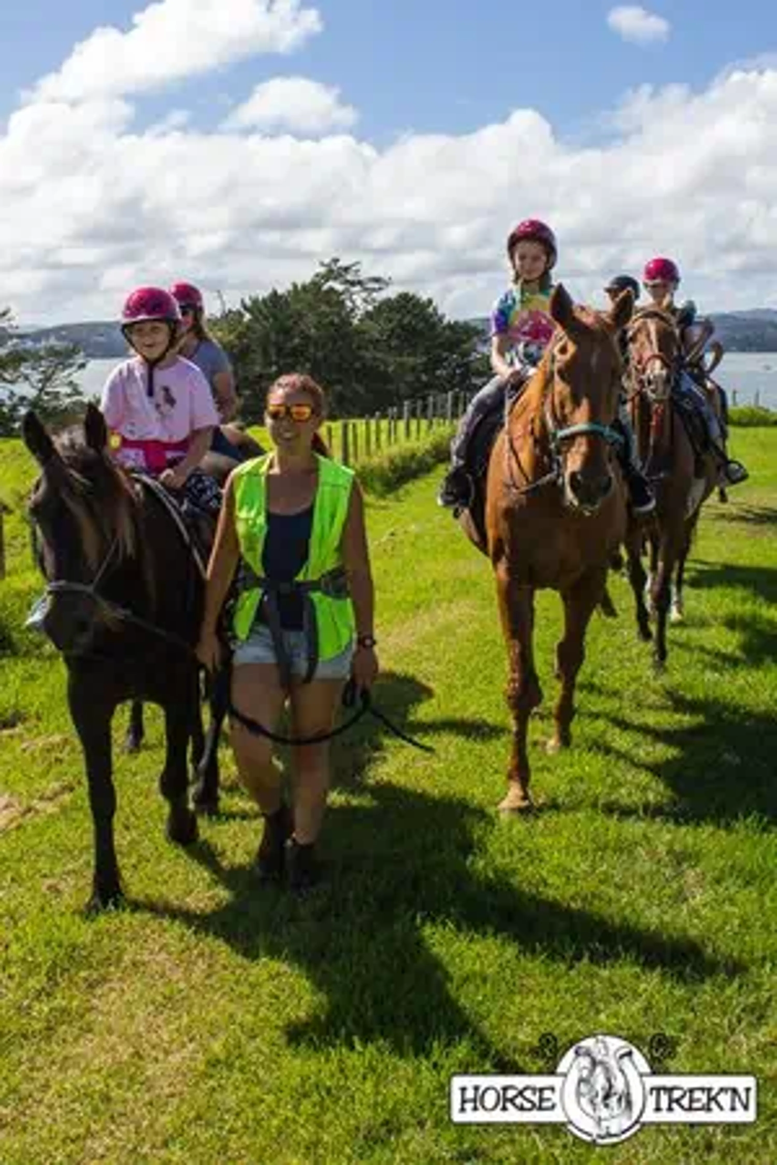 Horse Trek’n in the Bay of Islands