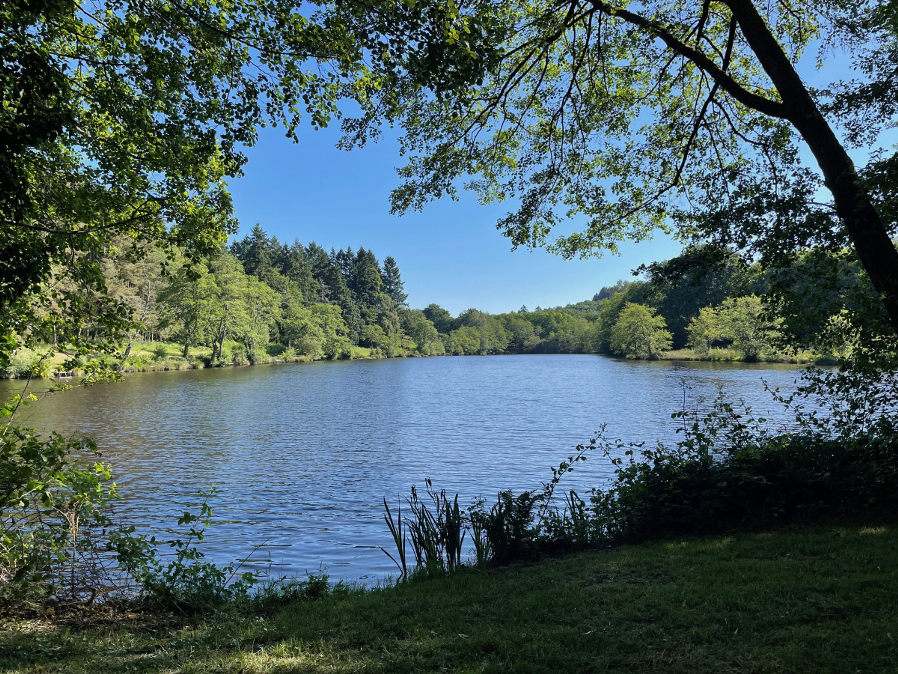 Redwood Lake
