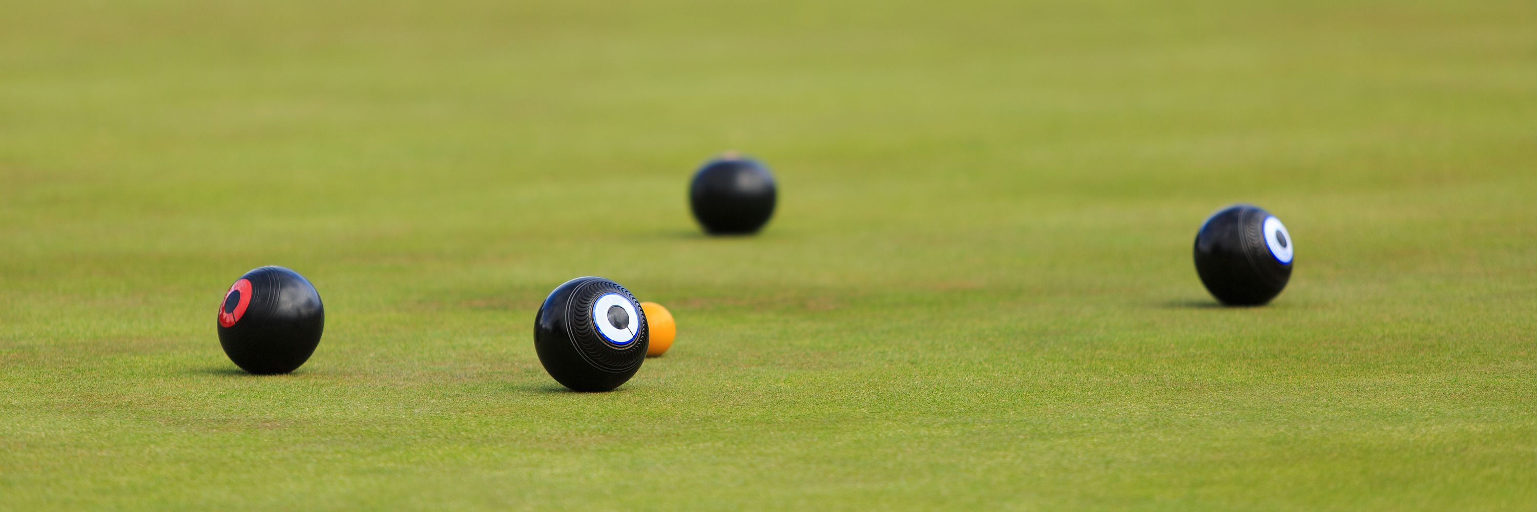 Social Bowls Social Bowls