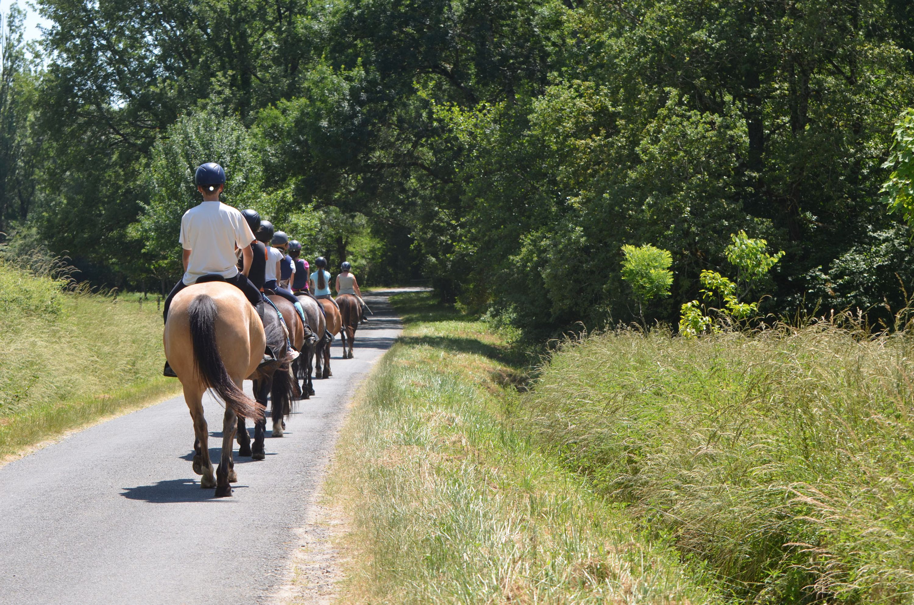 Poney Club Poney City
