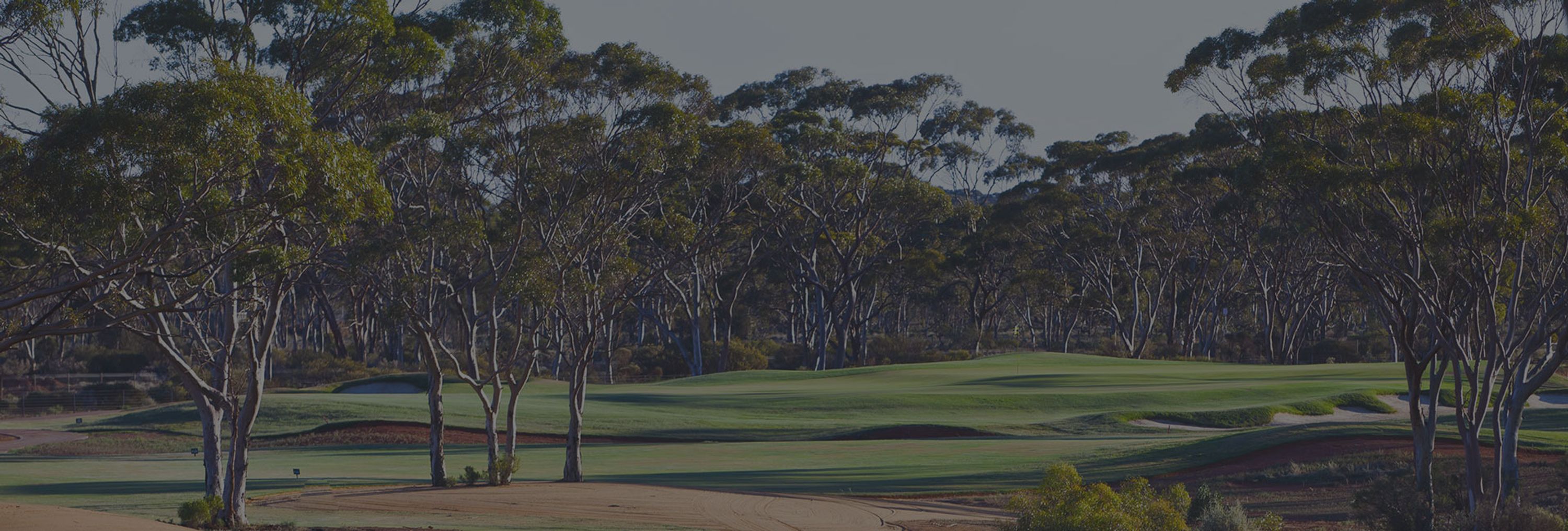 Ladies Golf Ladies Day