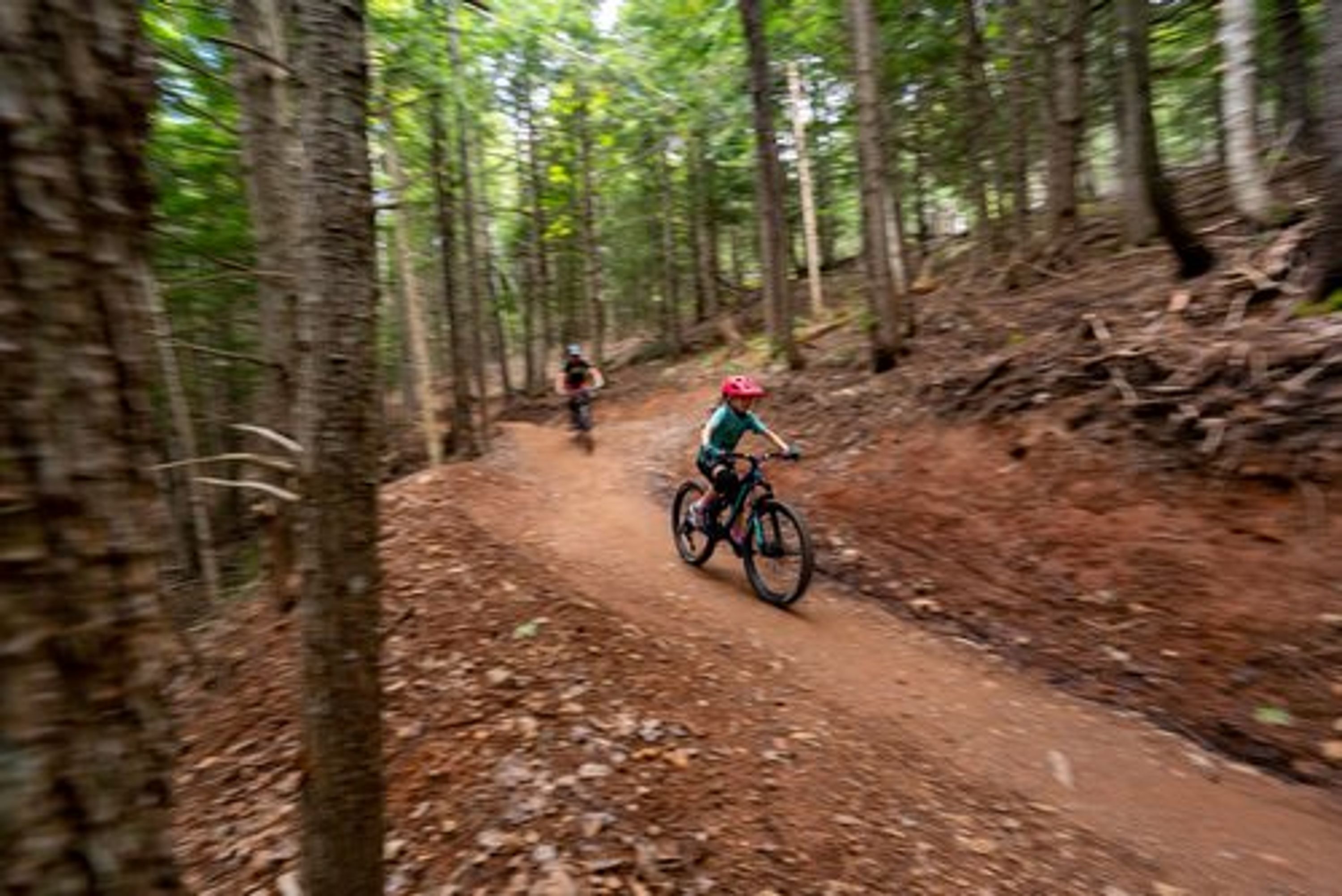 Wentworth Mountain Bike Park Trails