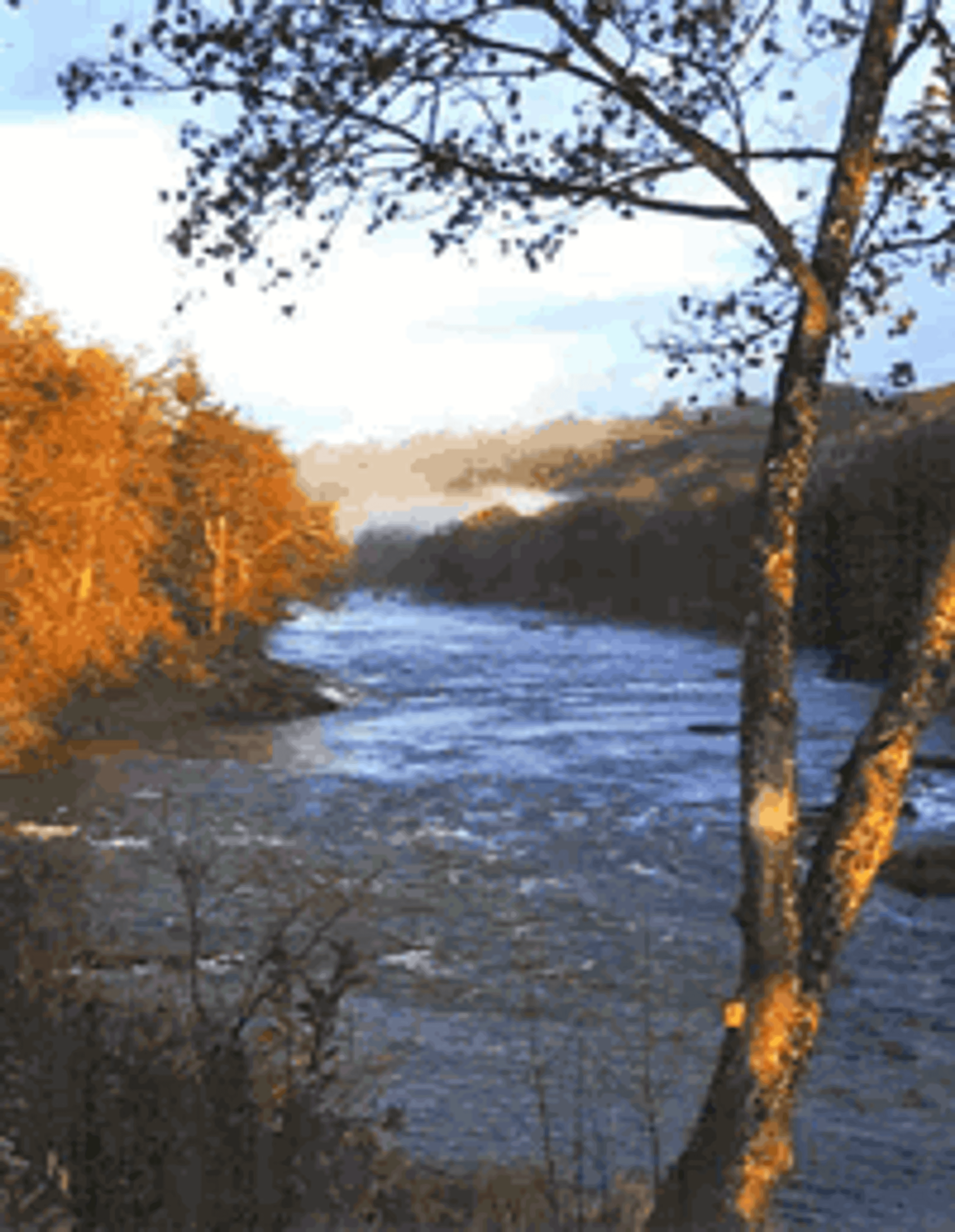 FlyFishingWales with Kim Tribe