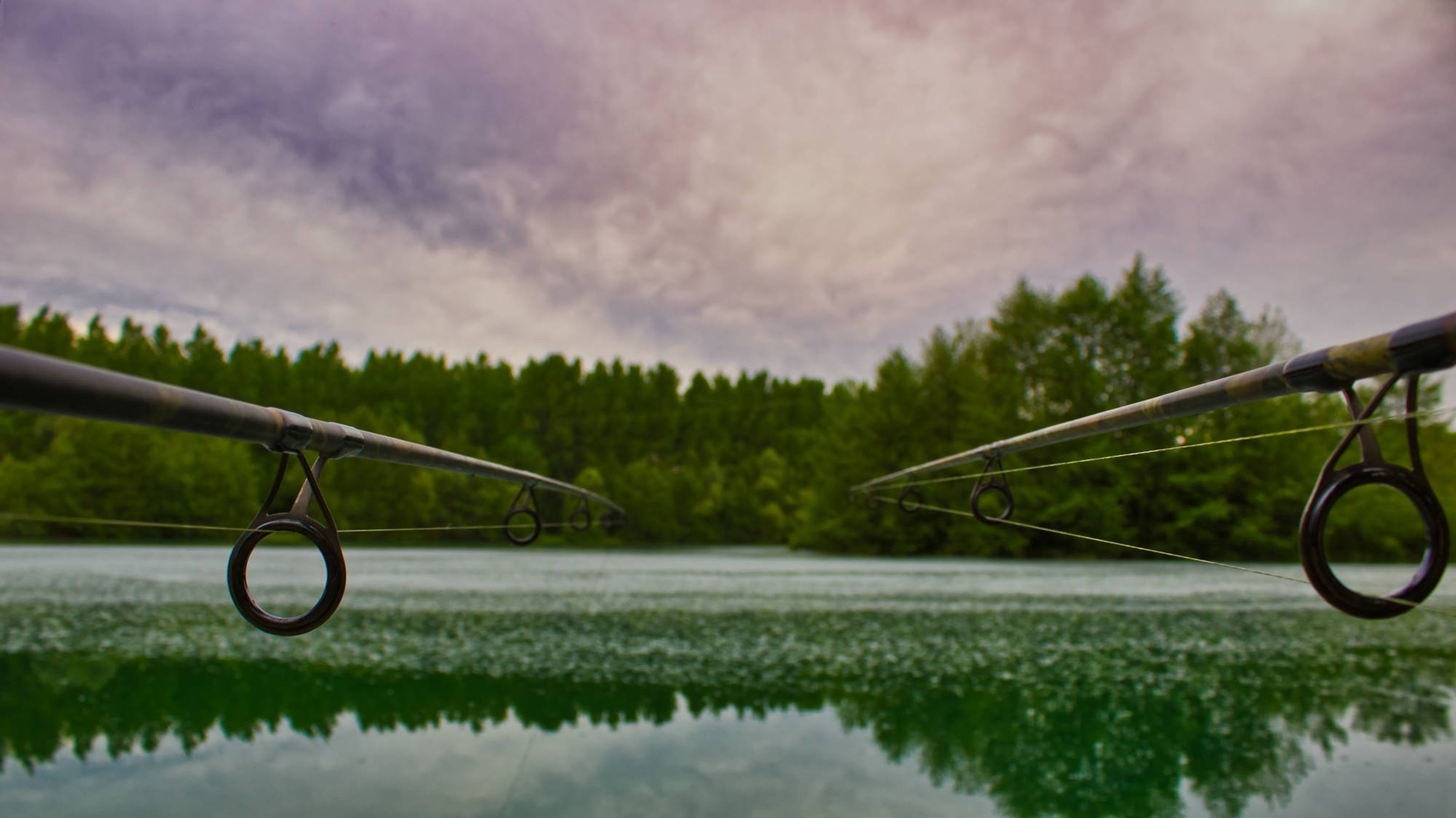 Lac la folie