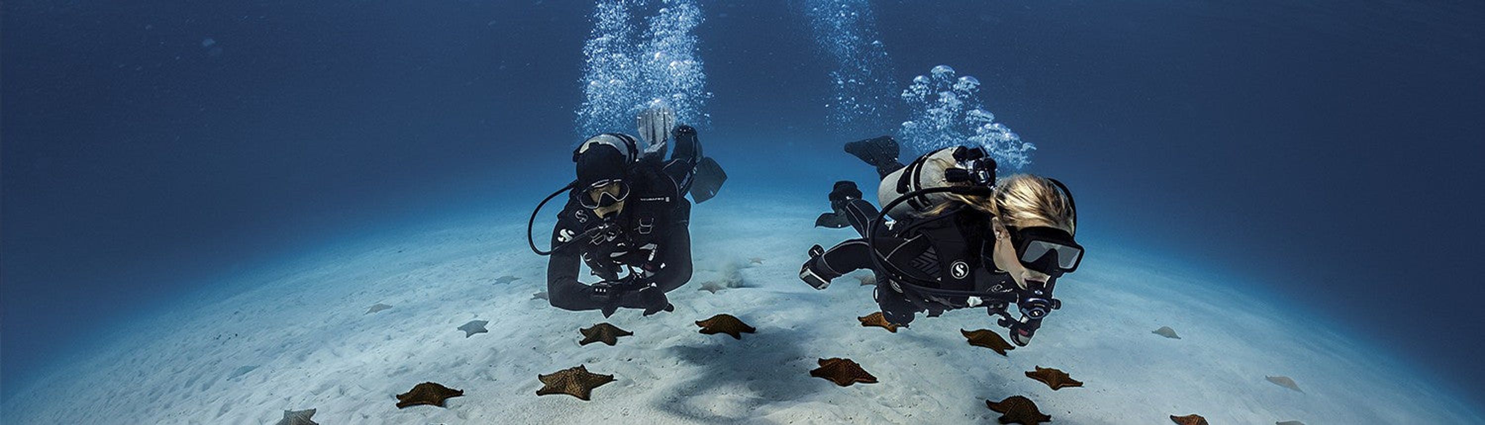Infinity Dive