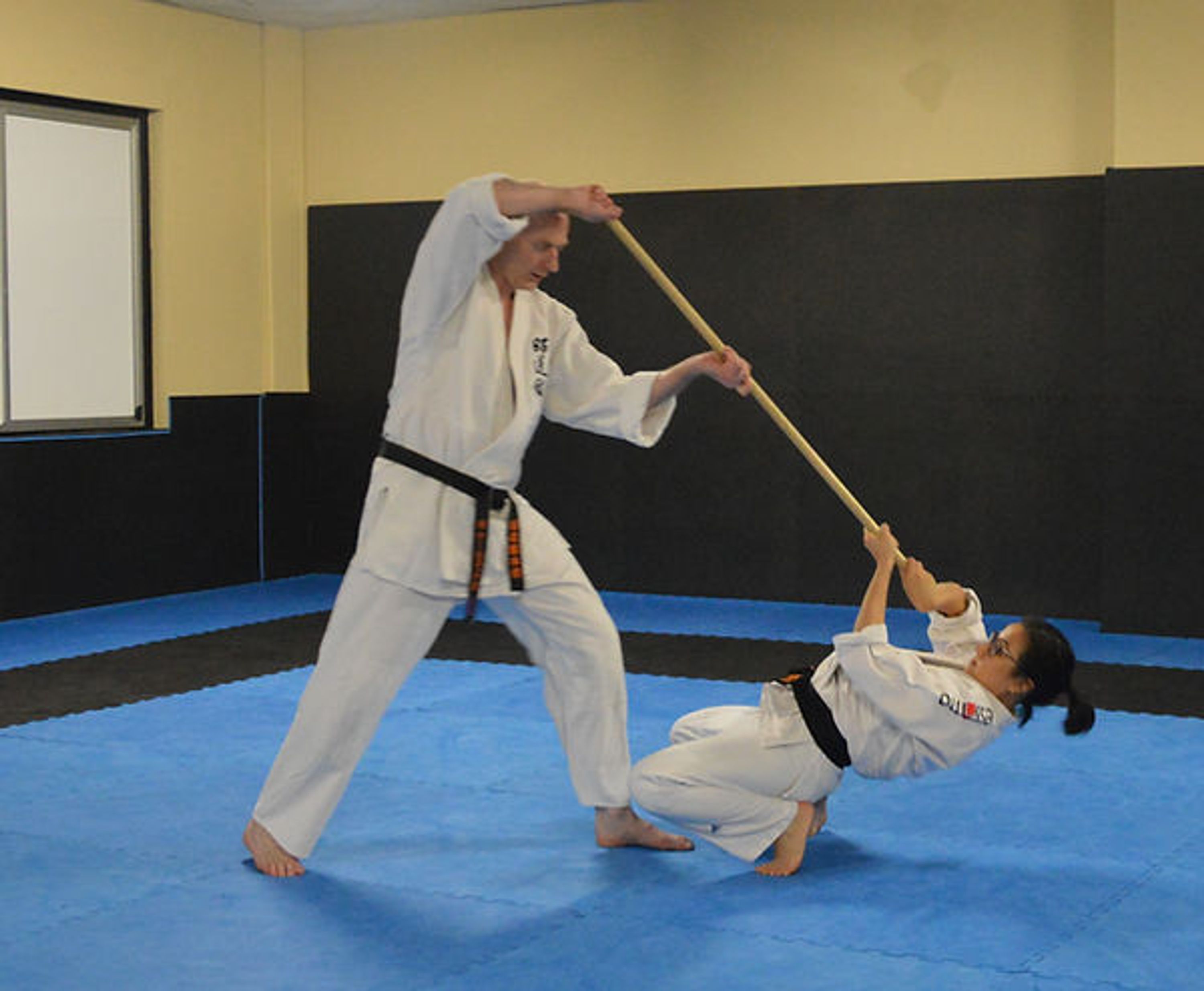 Aikido Shodokan