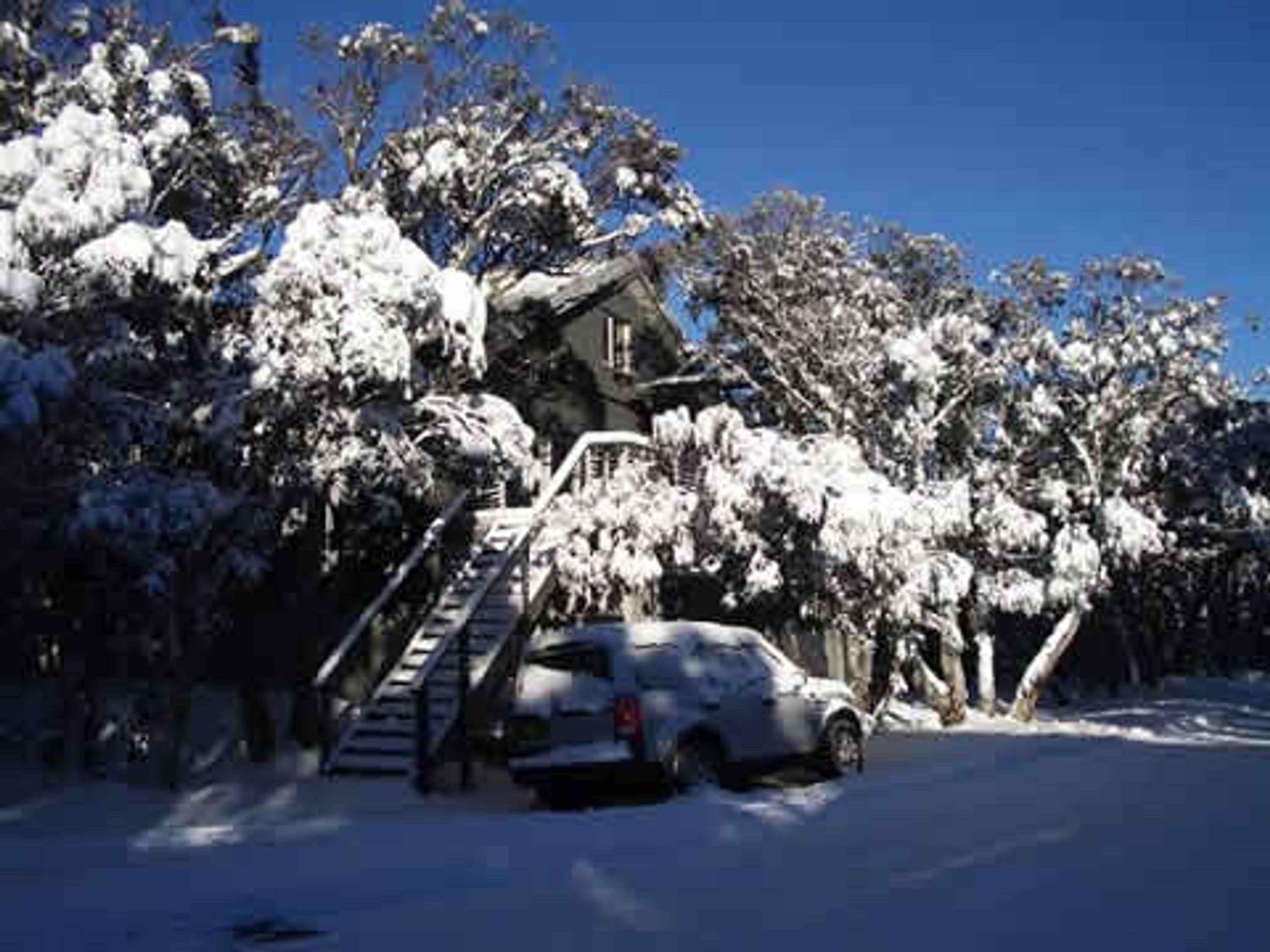 Our Lady of the Snows ski club