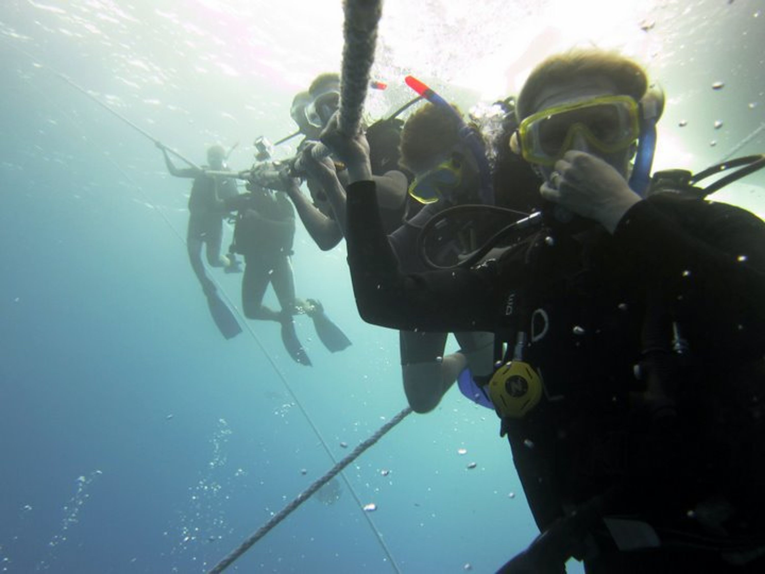 Try Dive
