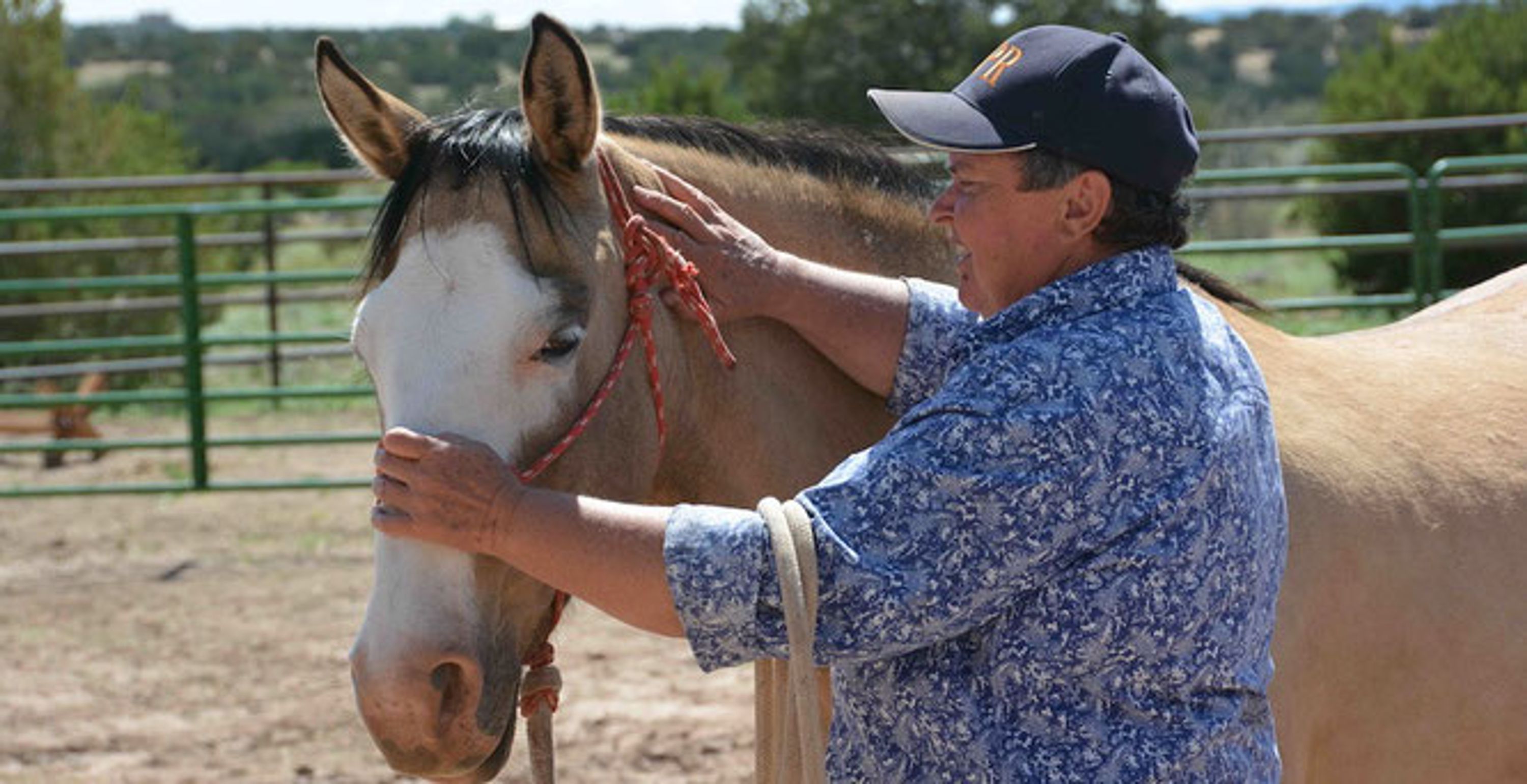 Equine Positional Release Classes
