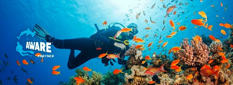 Deep Diver Specialty