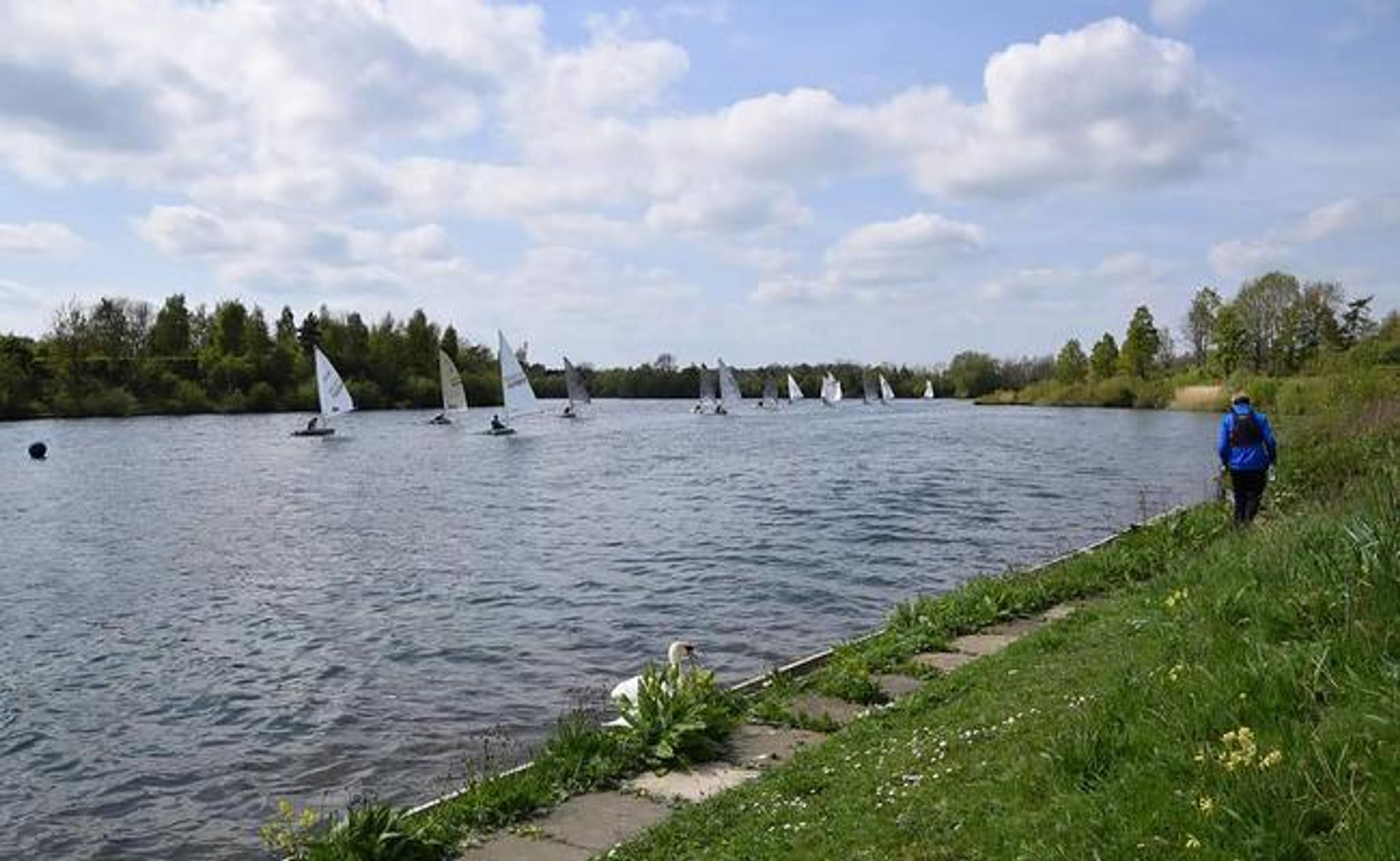 Amateur Sailing Regatta