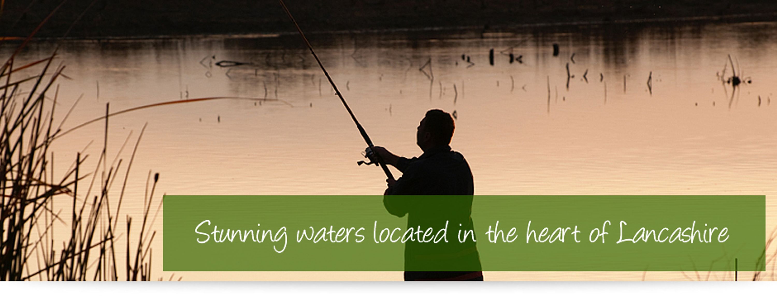 Woodfold Fisheries