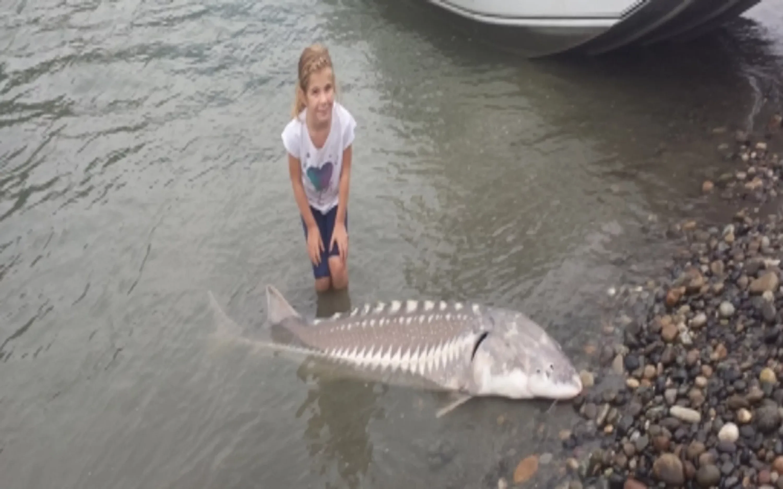 Funky Fishing Adventures