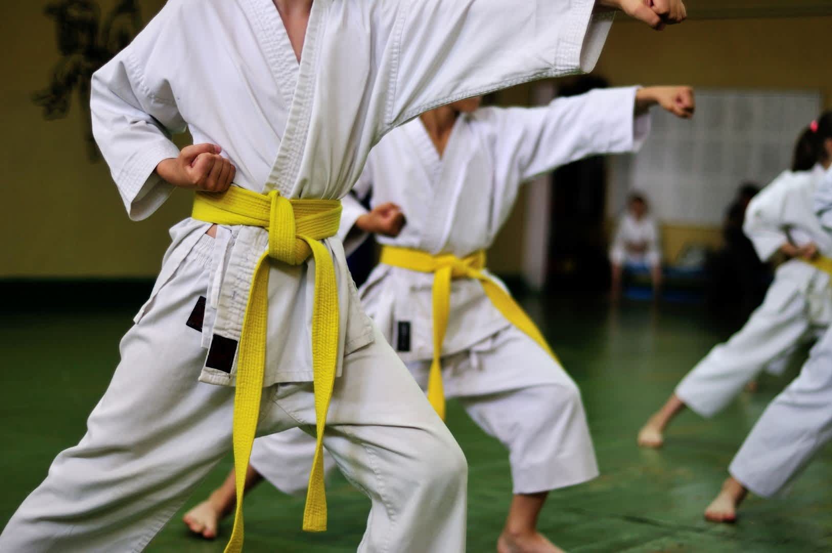 Taekwondo Wolves