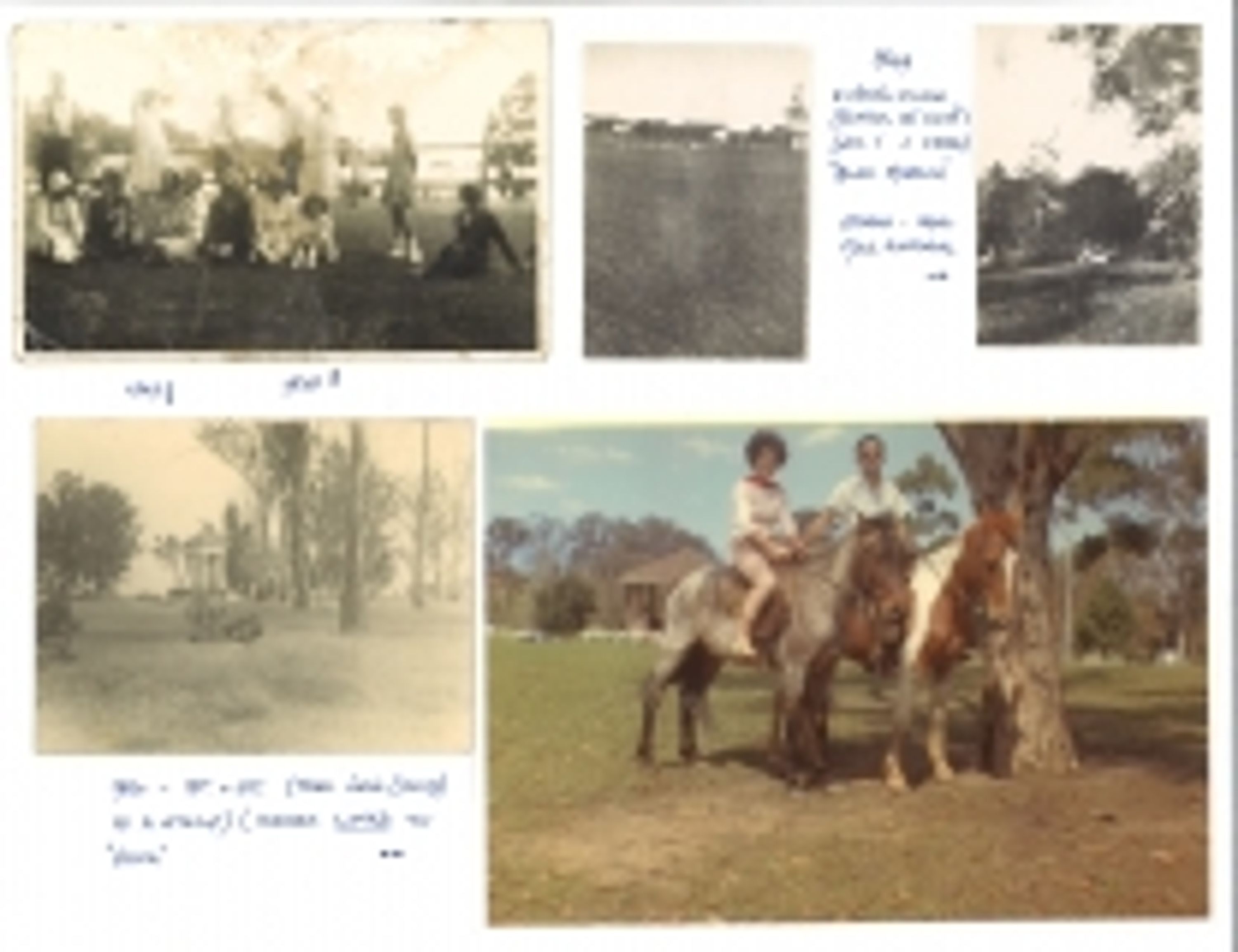 Parramatta Park Runners and Walkers - Handicap Races