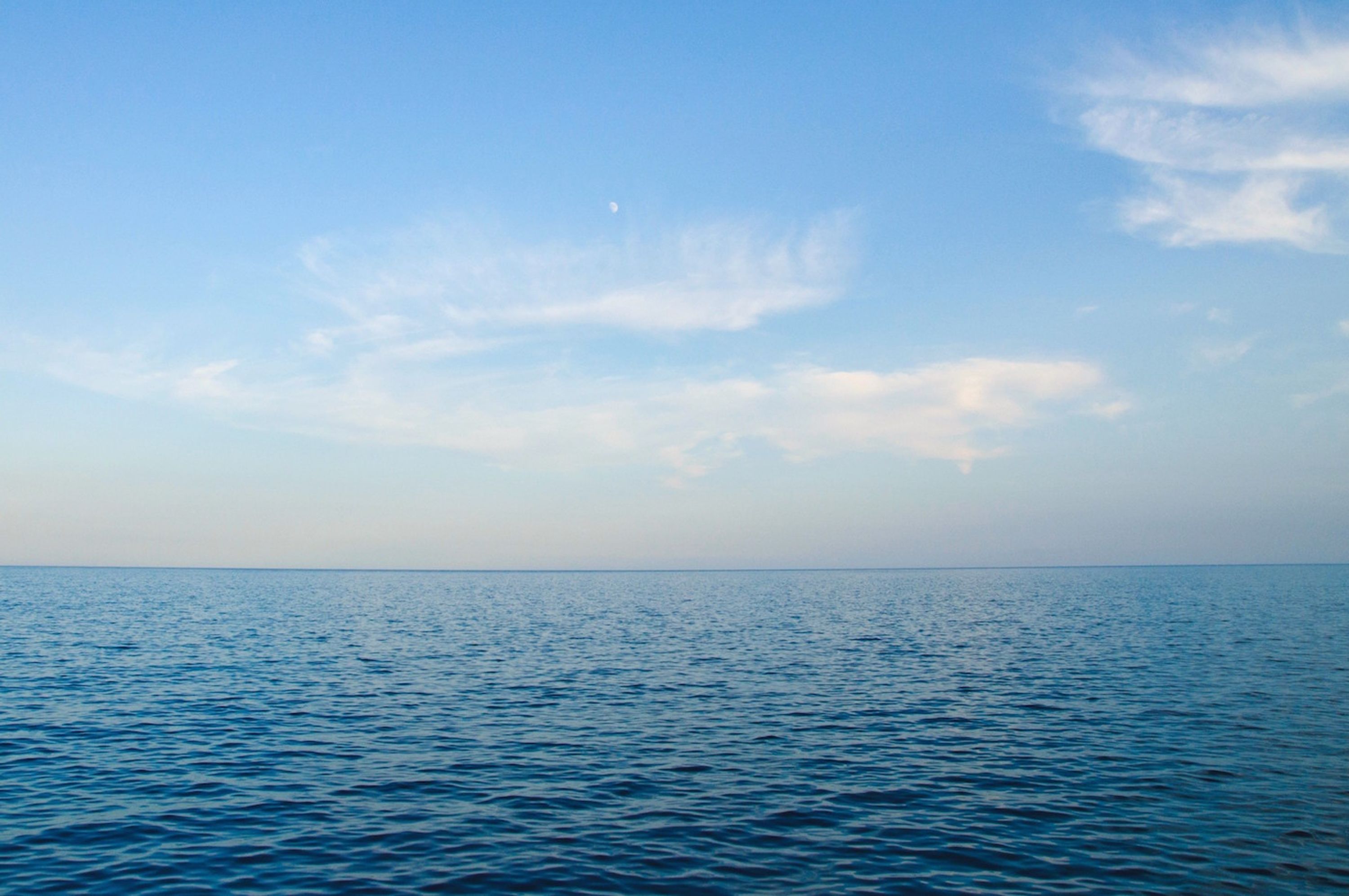 Ocean Runner Charters