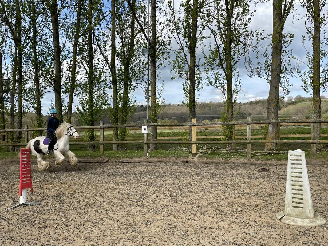 South Farm Stables