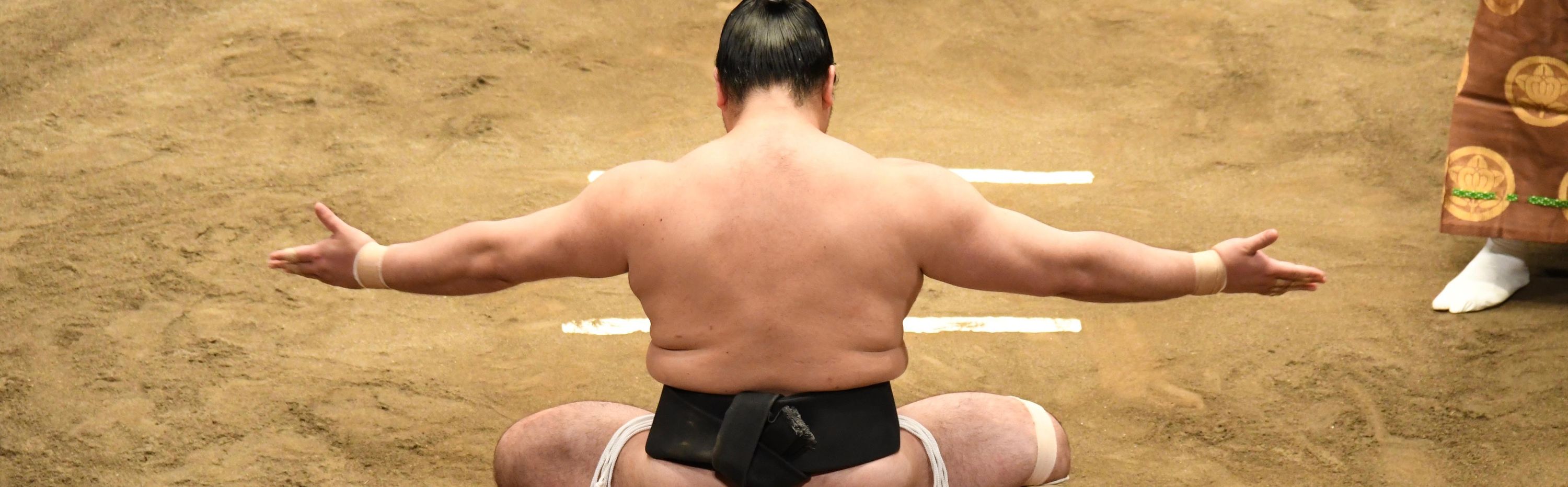 Sumo banner