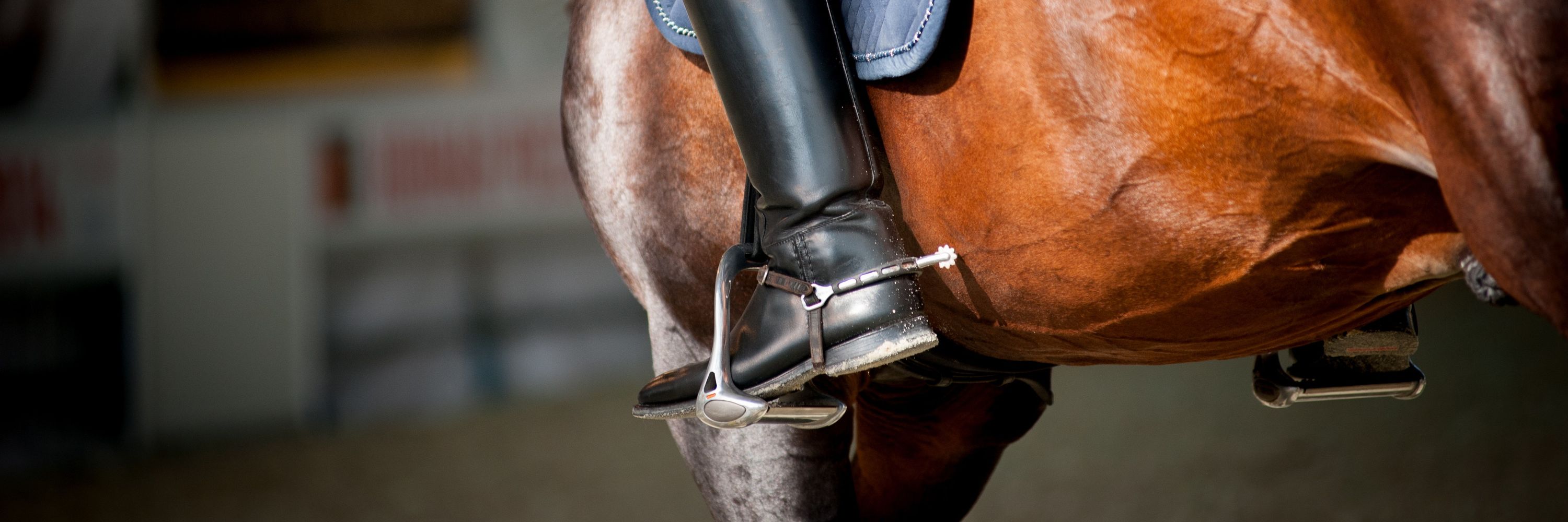 Private Equestrian Lessons (30 min)