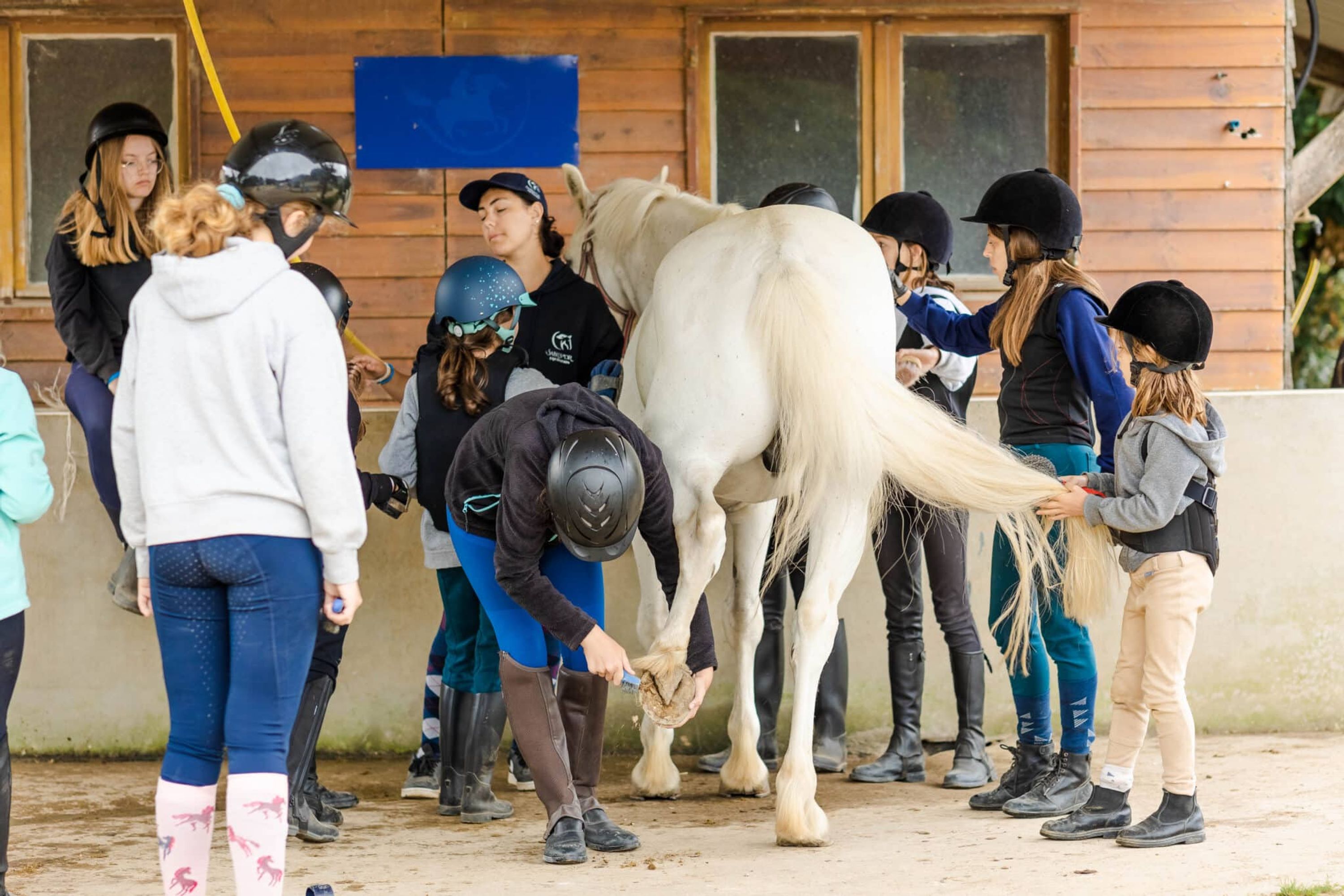 Equestrian Center Bretagne