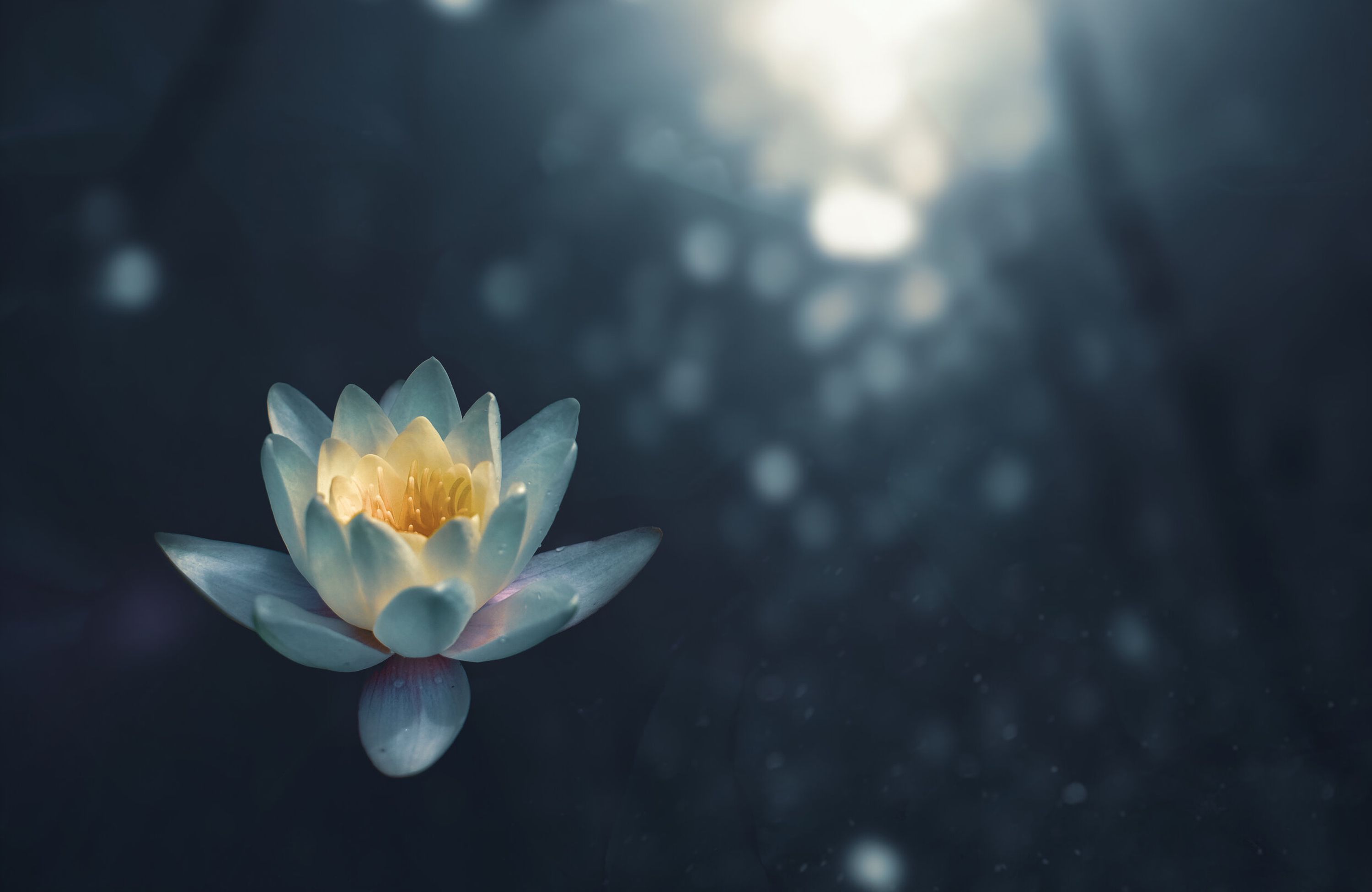 Alchemy Yoga Pembrokeshire Body, Mind & Beyond