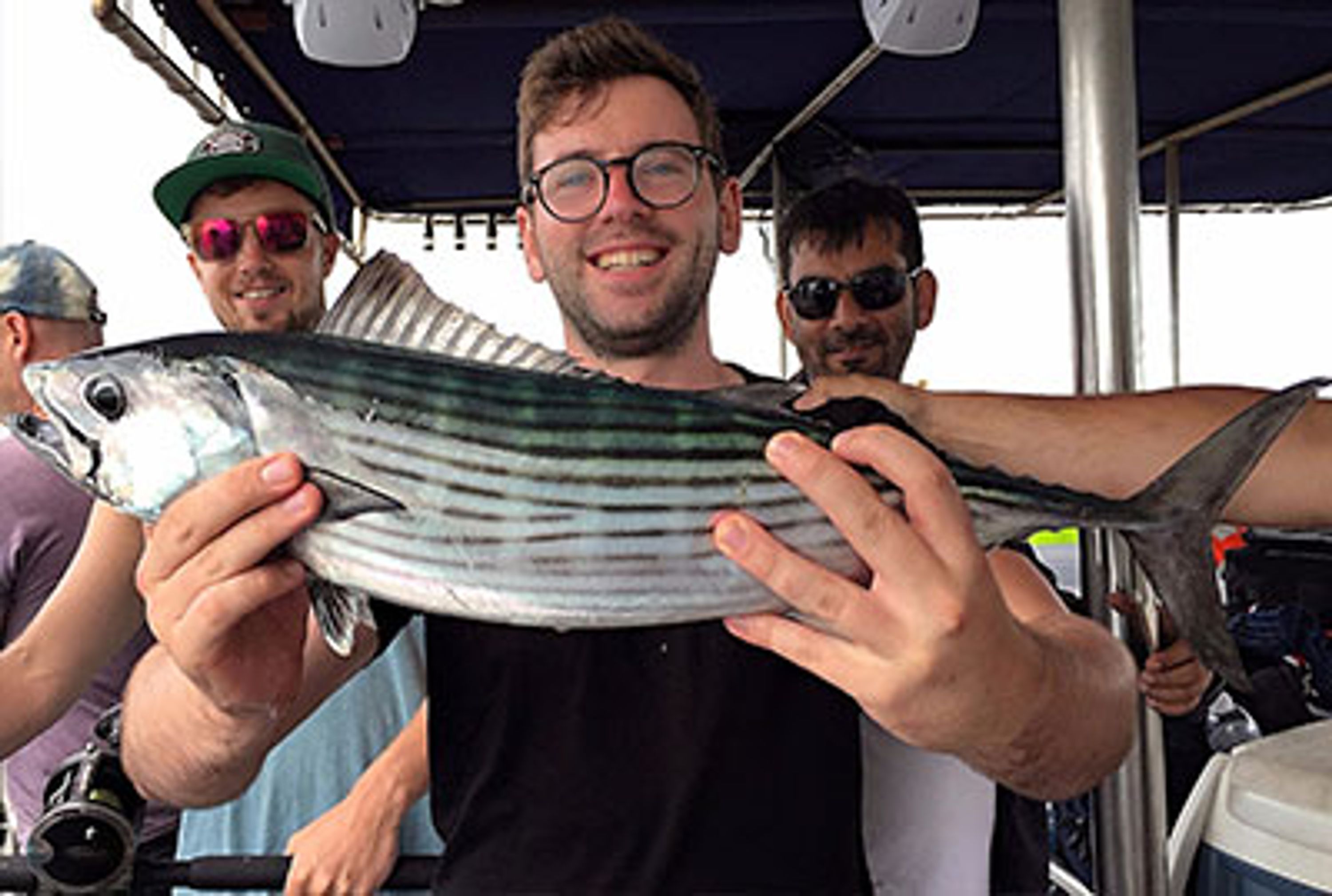 Mystery Bay Charters