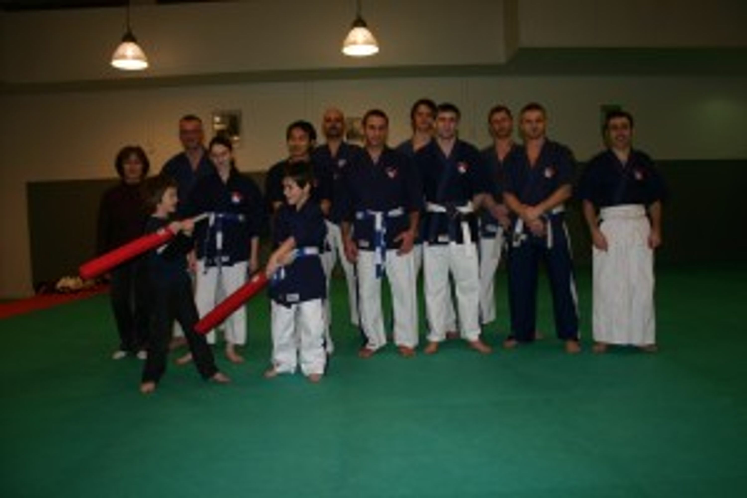 YOSEIKAN BUDO SAINT MANDE