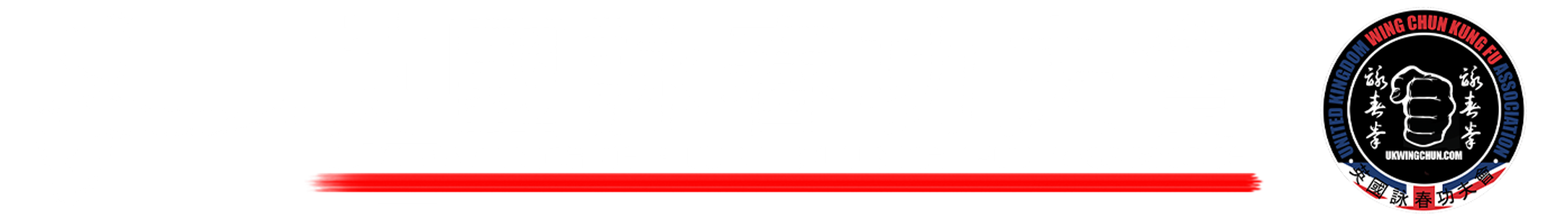 Wing Chun Chi Sau with GM Ip Chun Chi Sau MasterClass