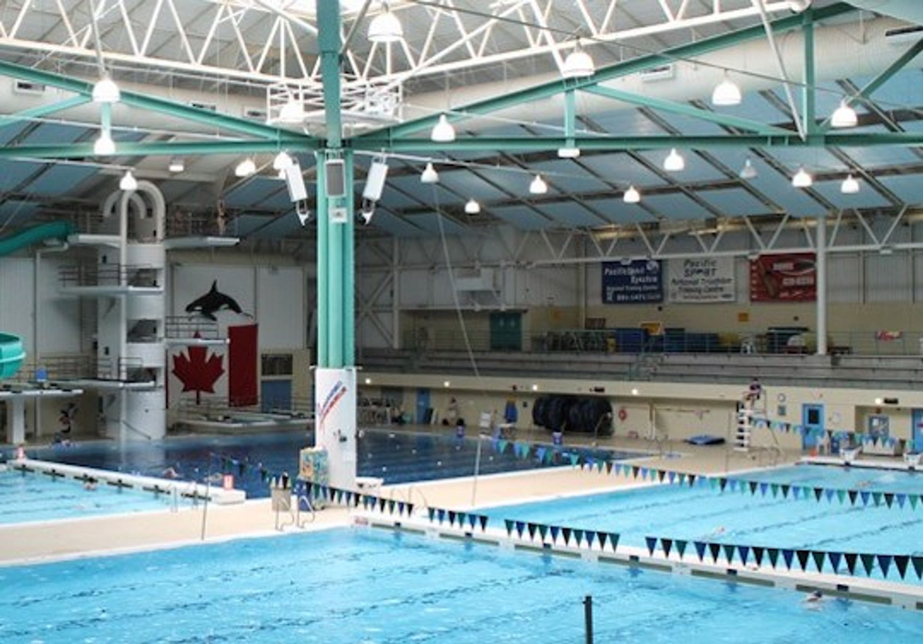 Island Swimming Schedule - Summer Skills