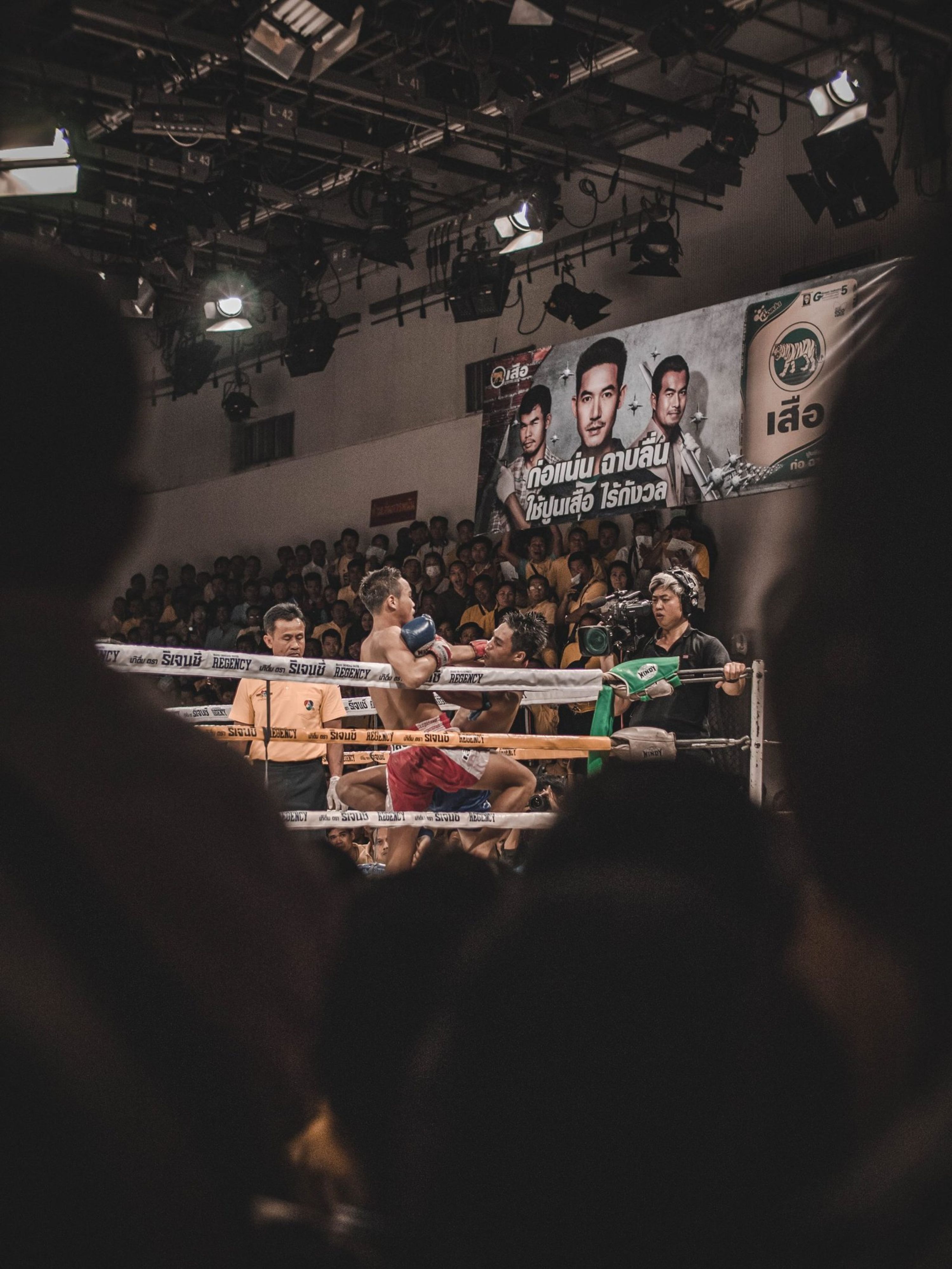 Team Naja - Boxe Thaï
