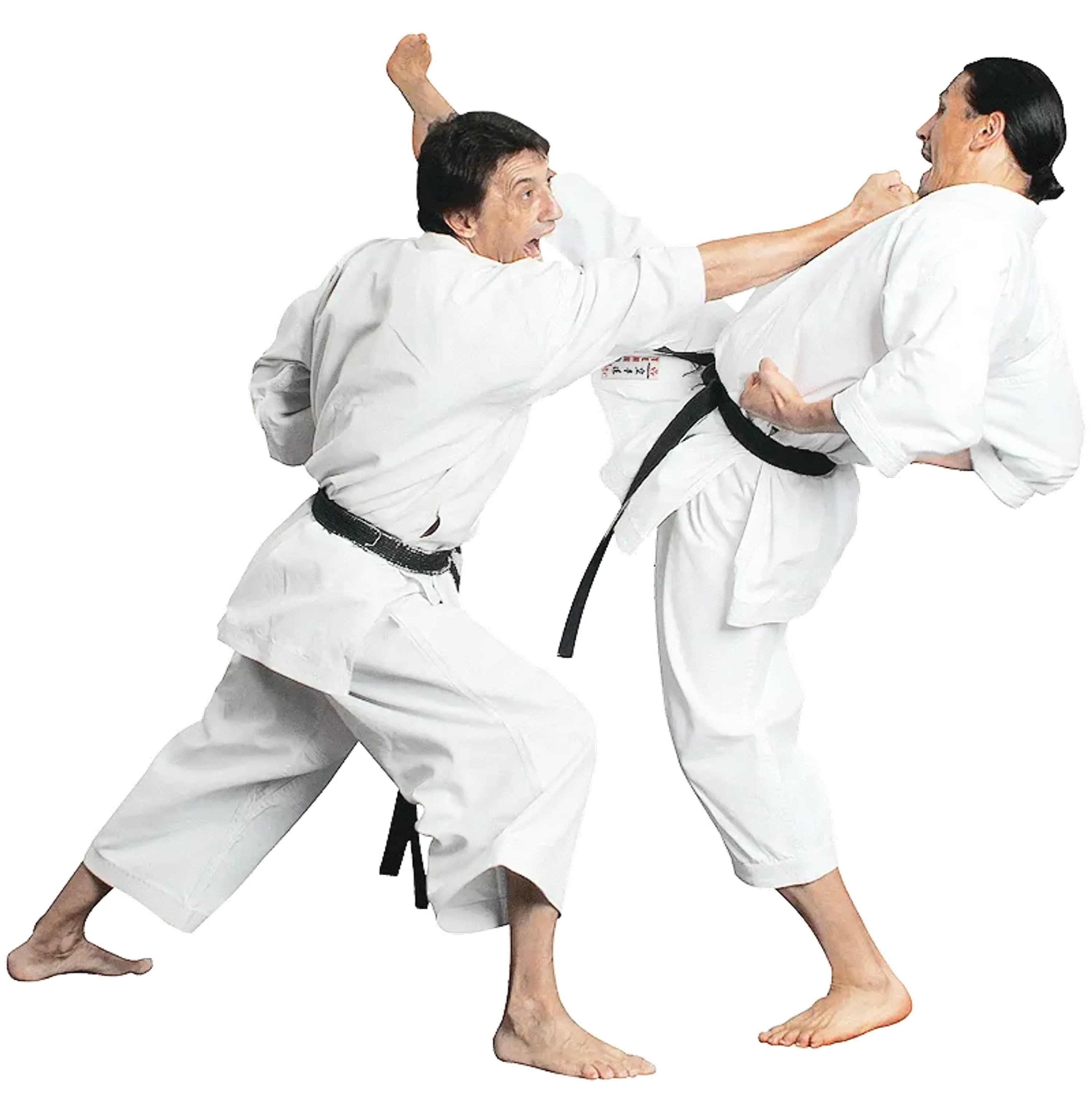 Adult Martial Arts Classes