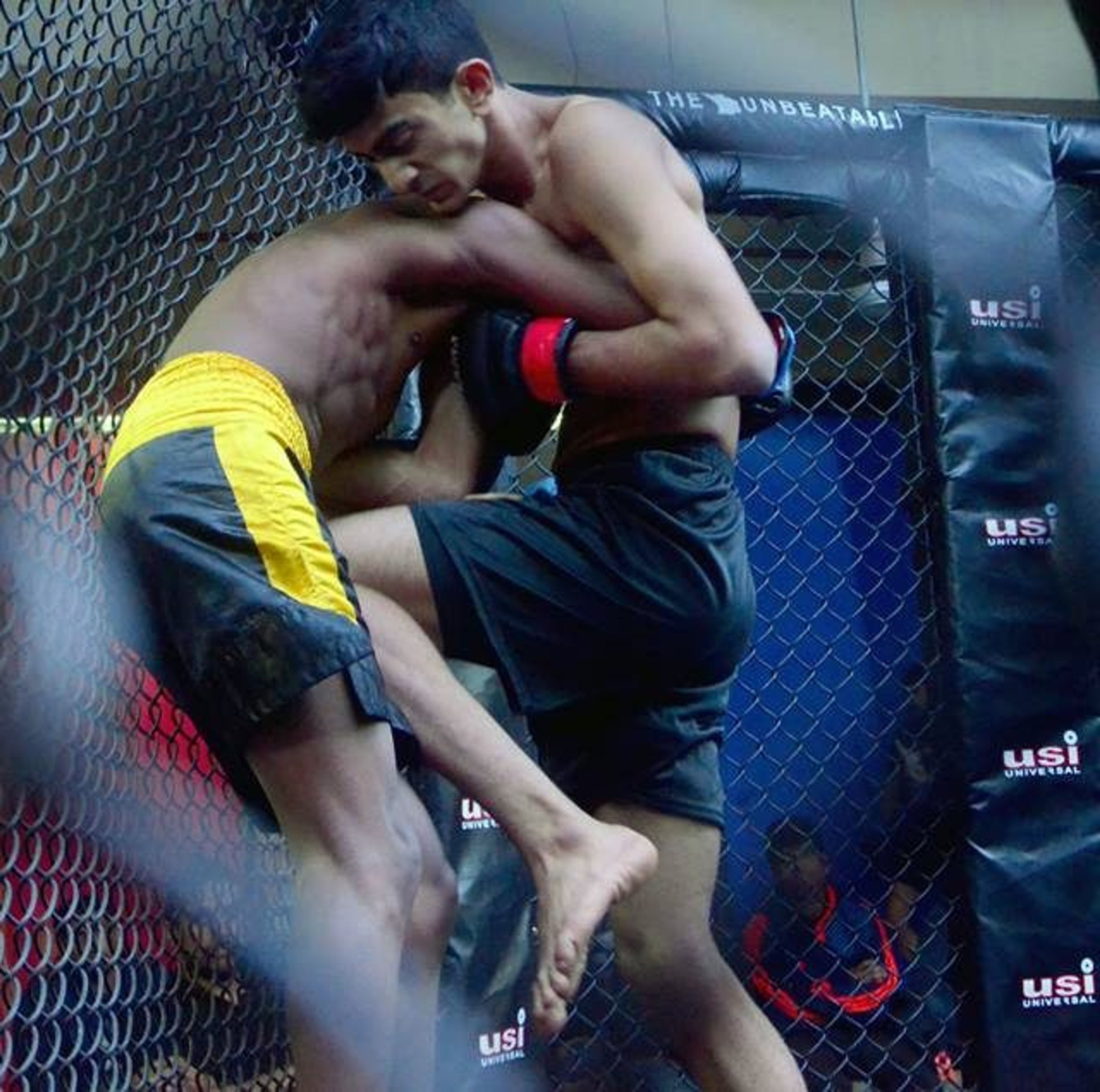 Alpha Omega Combat Sports Academy - Kolkata