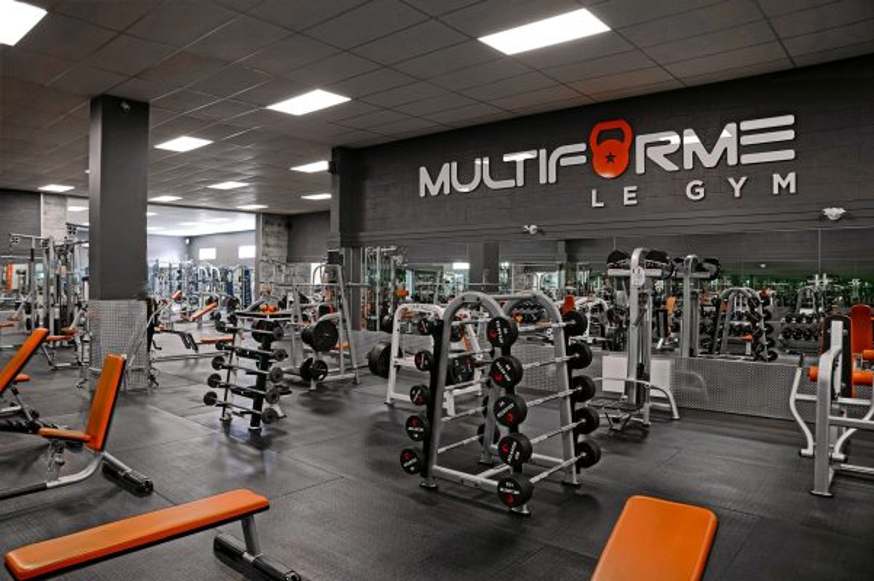 Multi Forme Plus