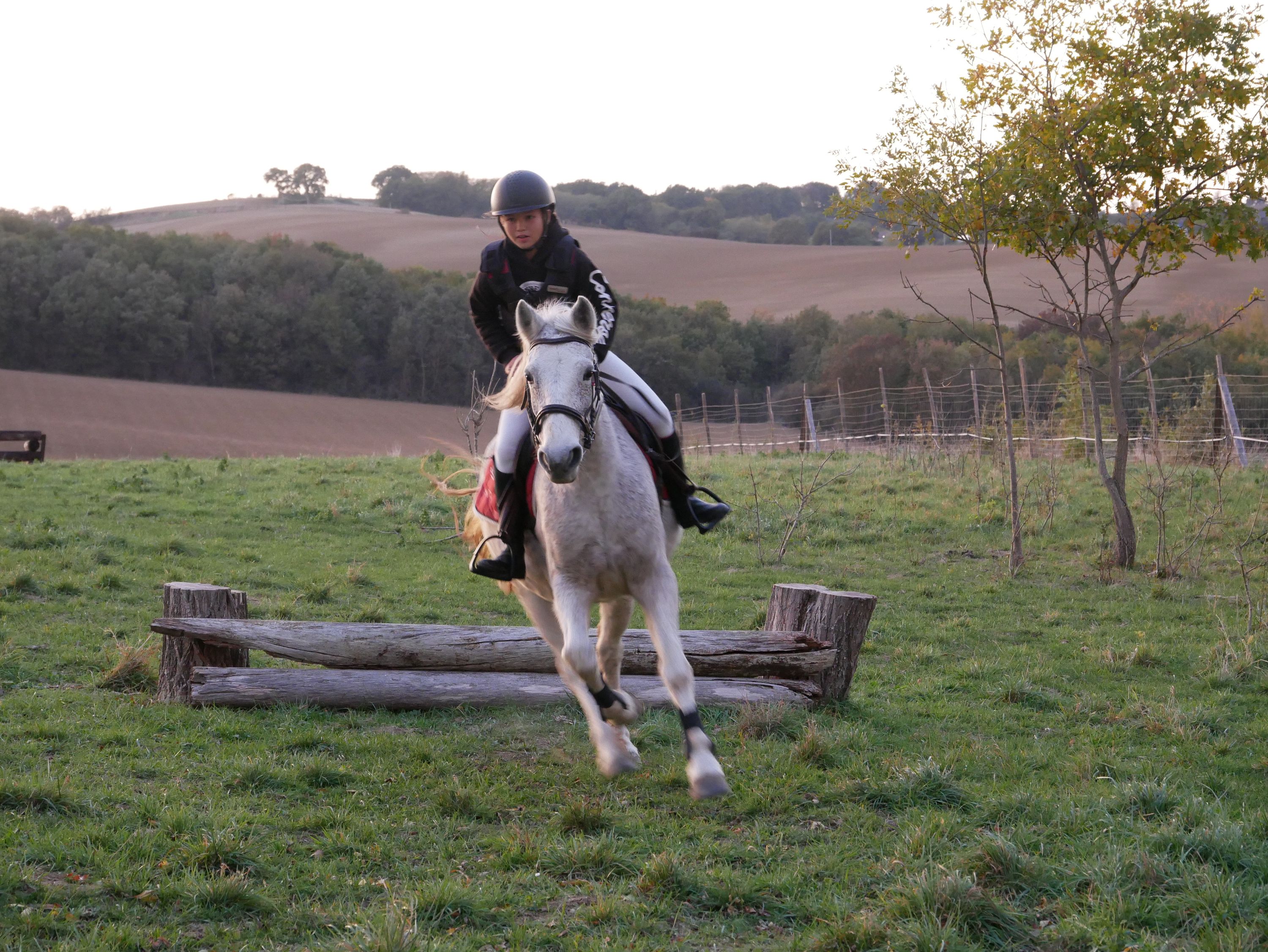 Le Poney Bleu