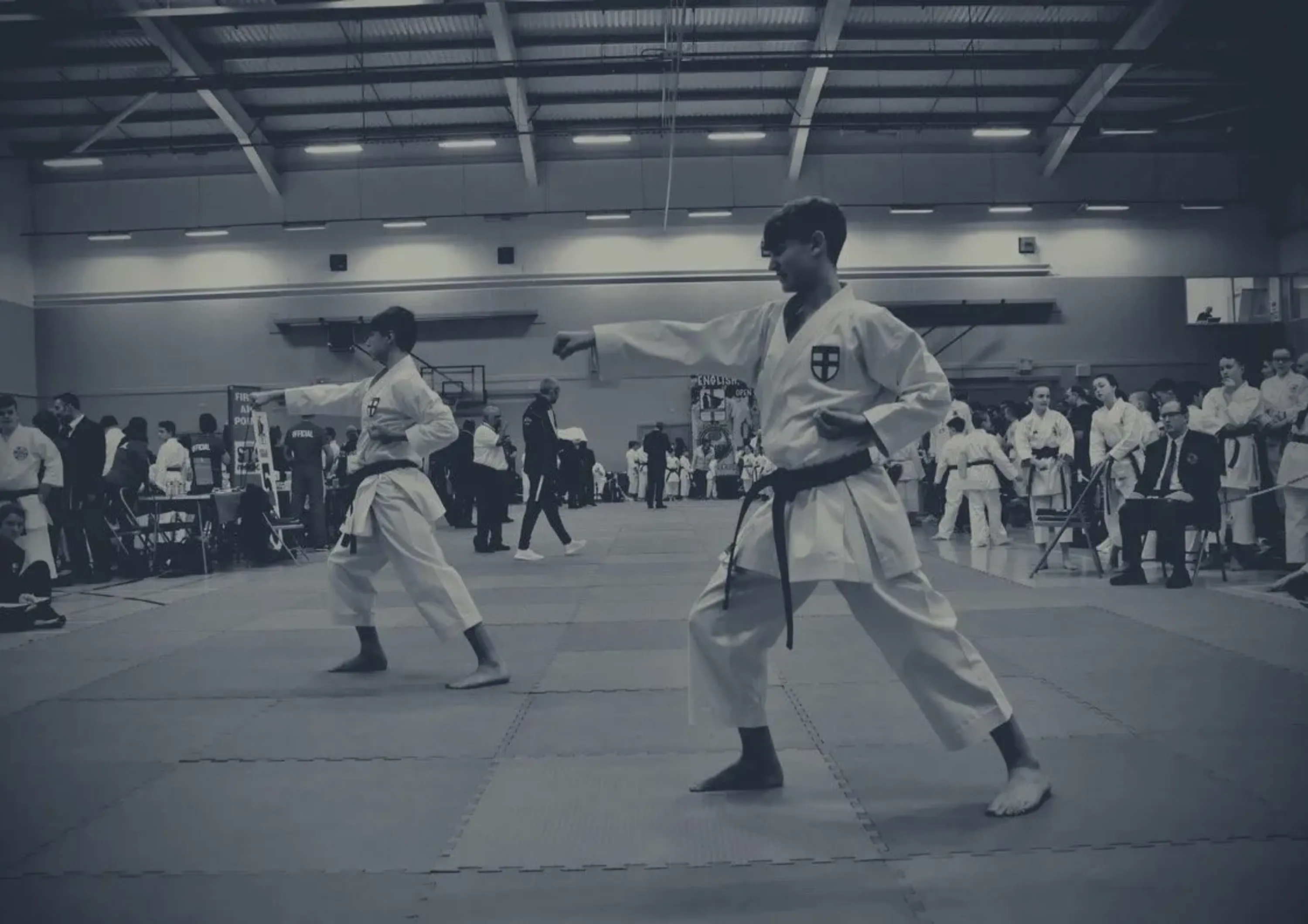 Seishin-Do The Way of Positivity