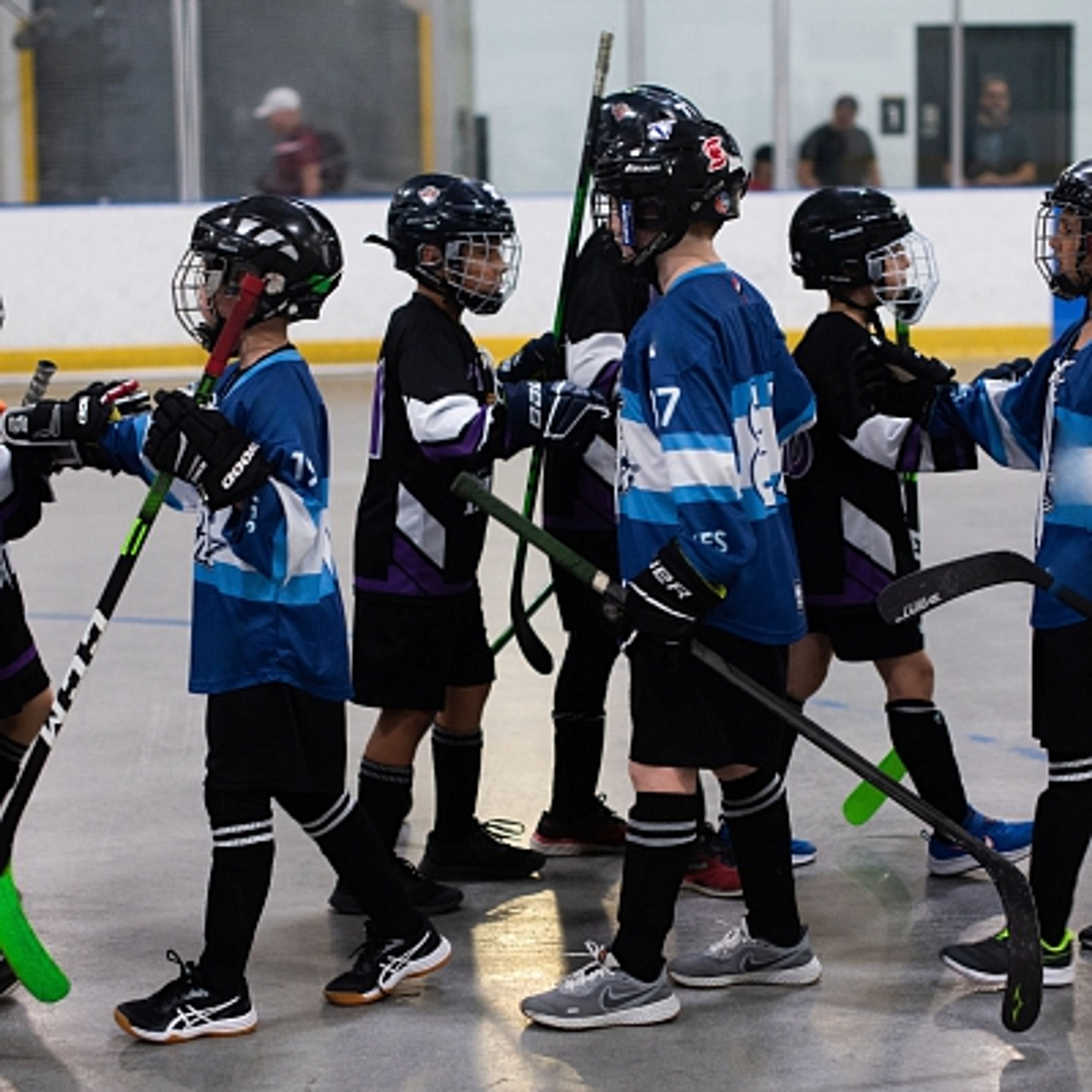 2024 Spring Ball Hockey Season Registration