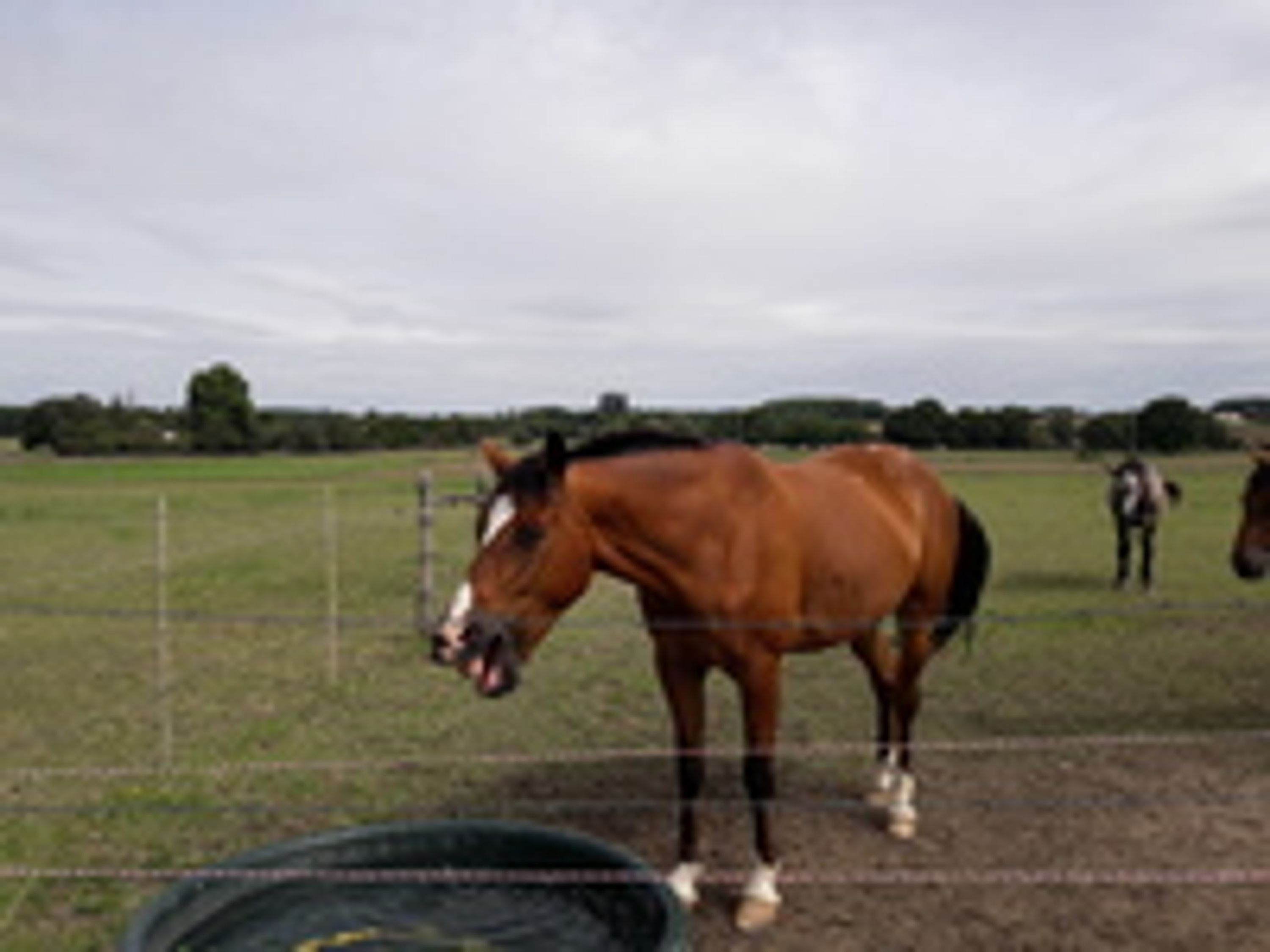 CENTRE EQUESTRE OUDINOT