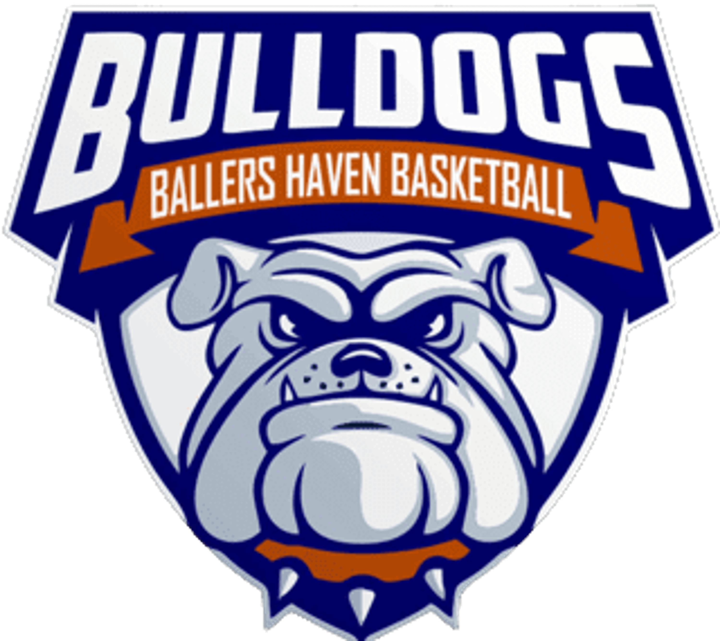 Ballers Haven Basketball