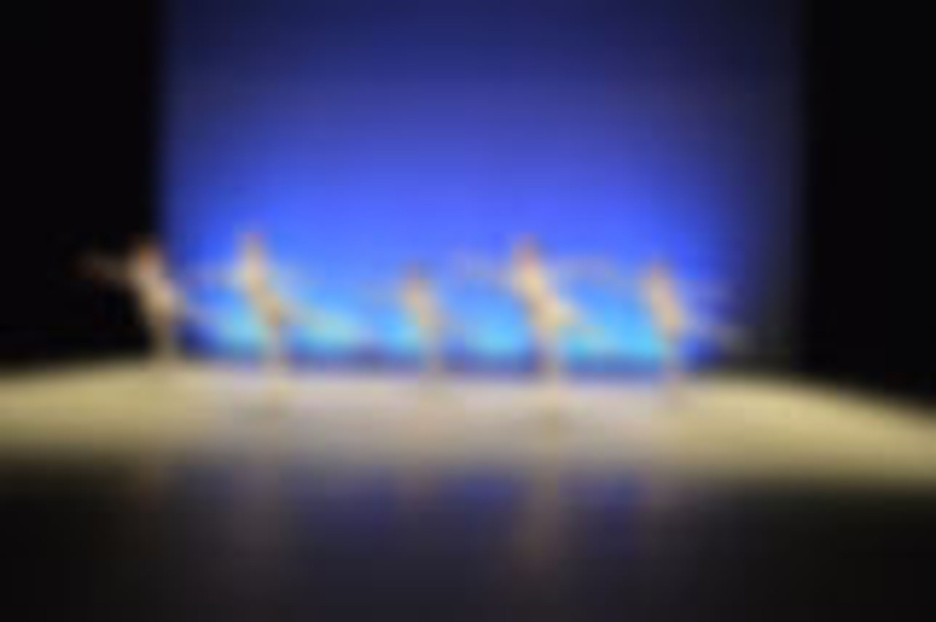 Academy Of Danse