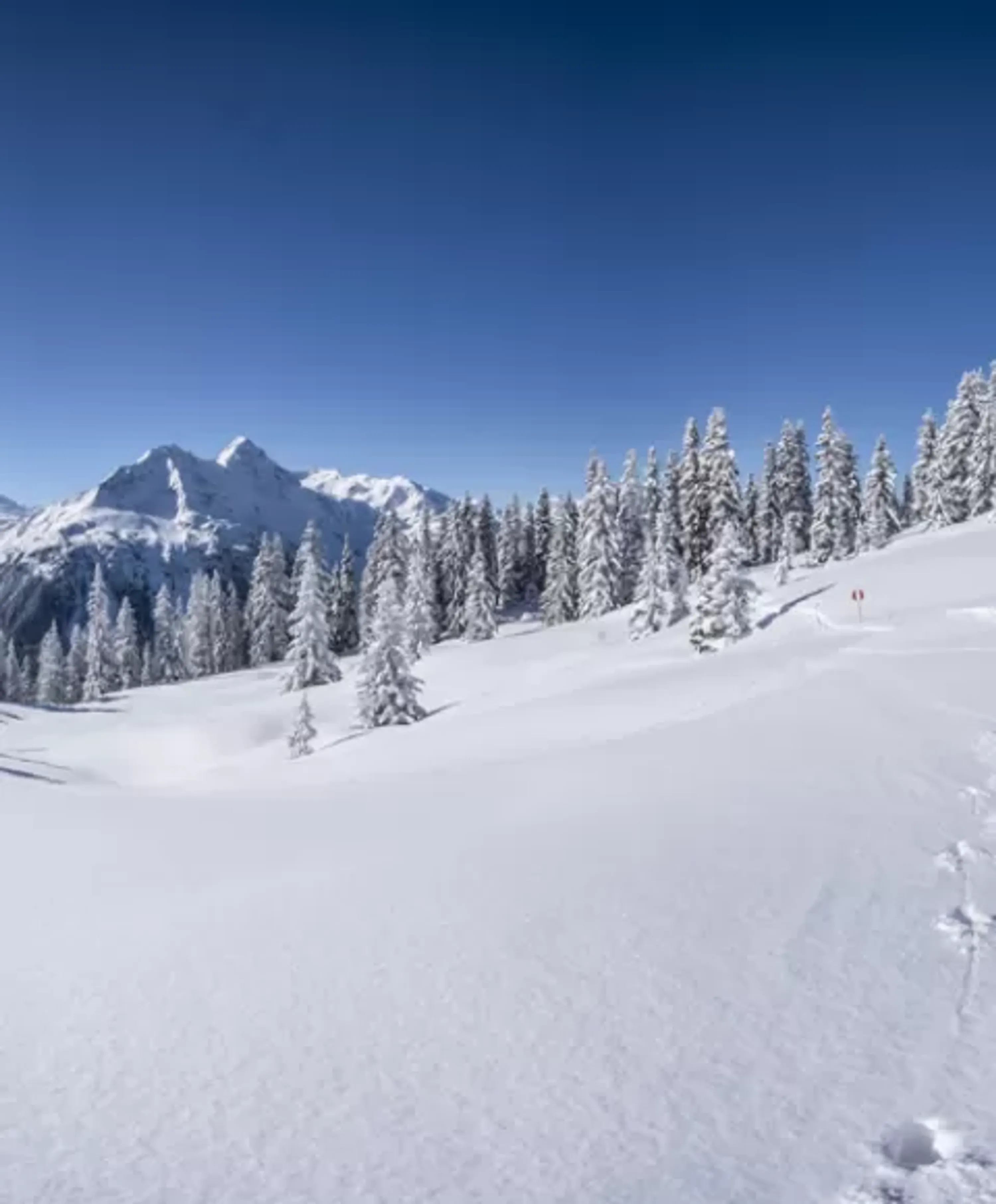 Favre Sports location ski Pralognan la Vanoise