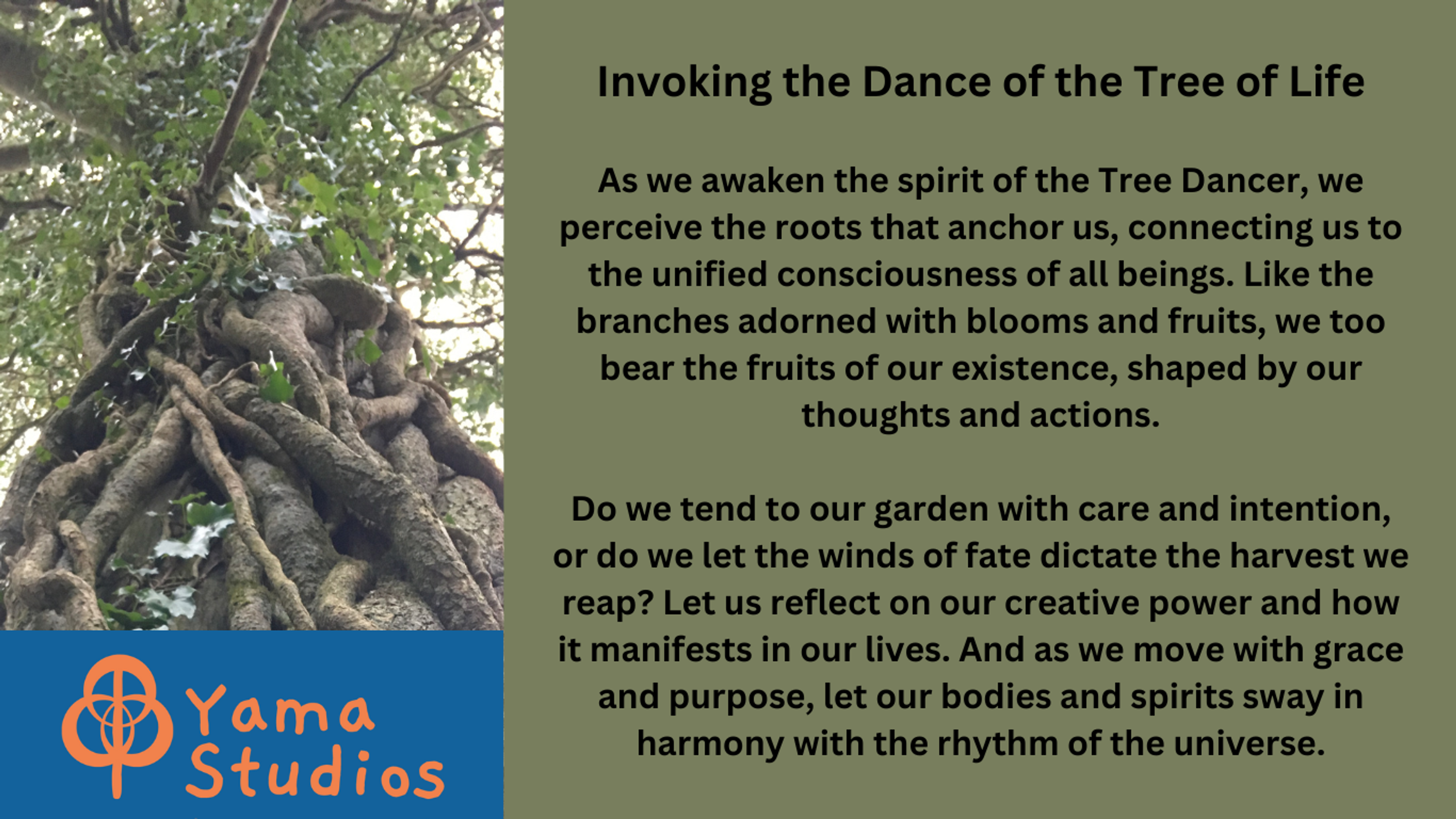 TREE OF LIFE Movement Medicine with Susan